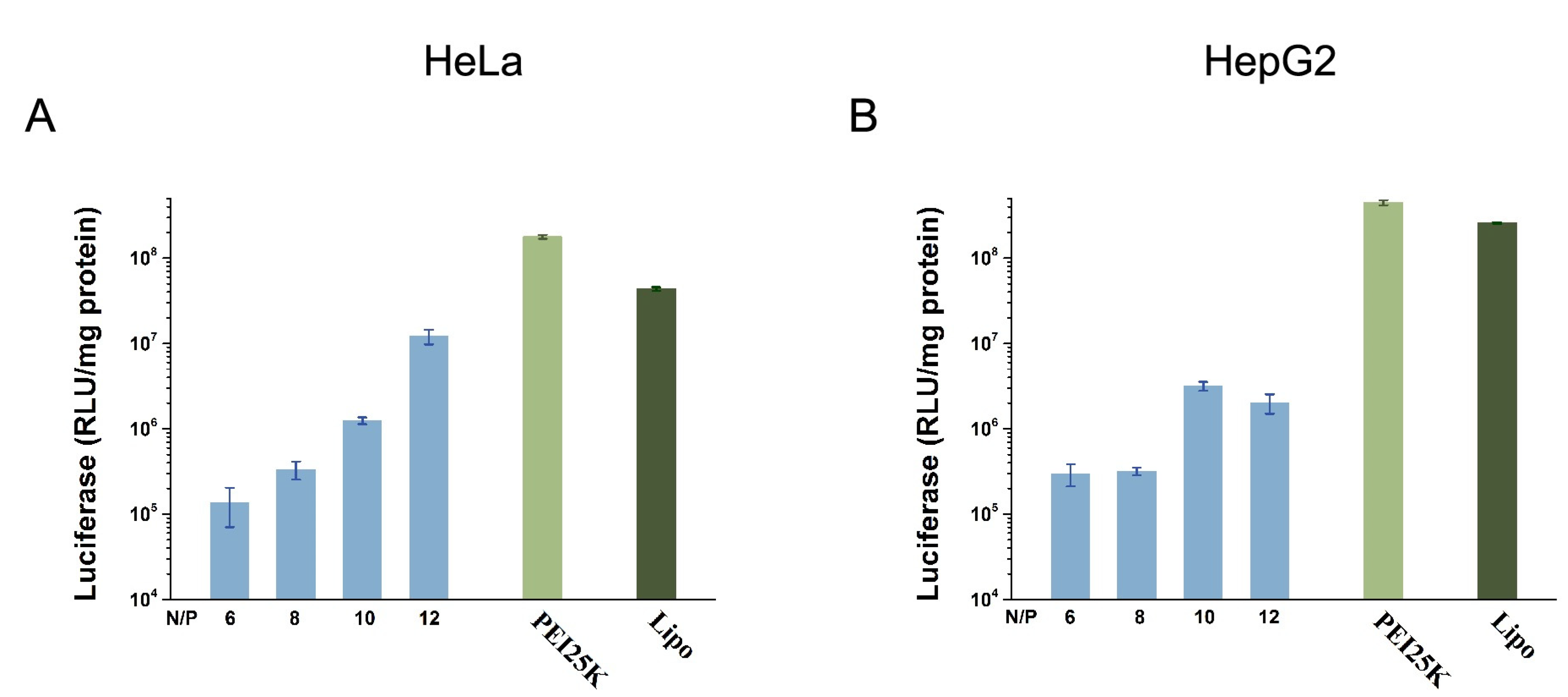 Molecules 28 01645 g006