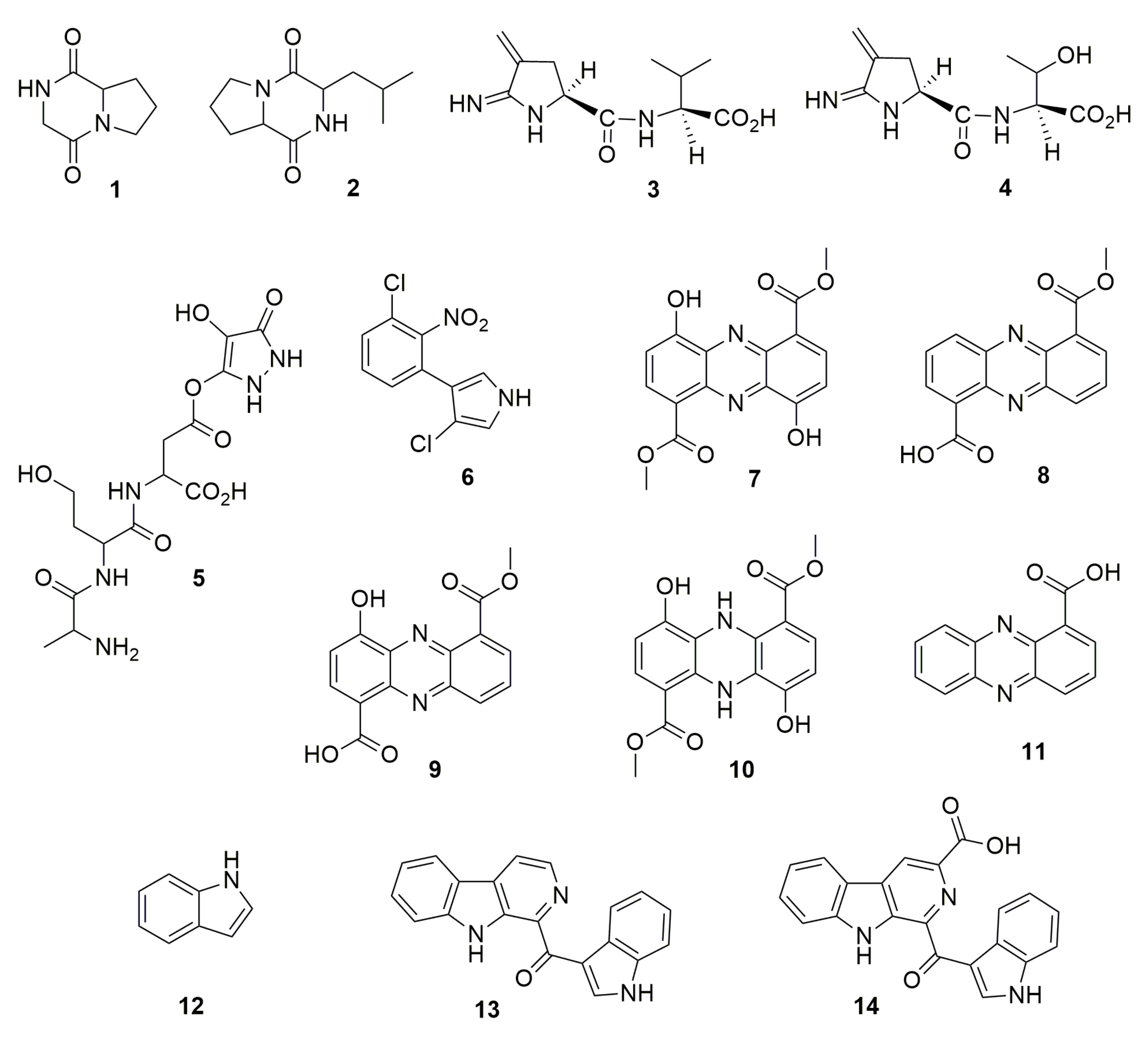 Molecules 28 01646 g001
