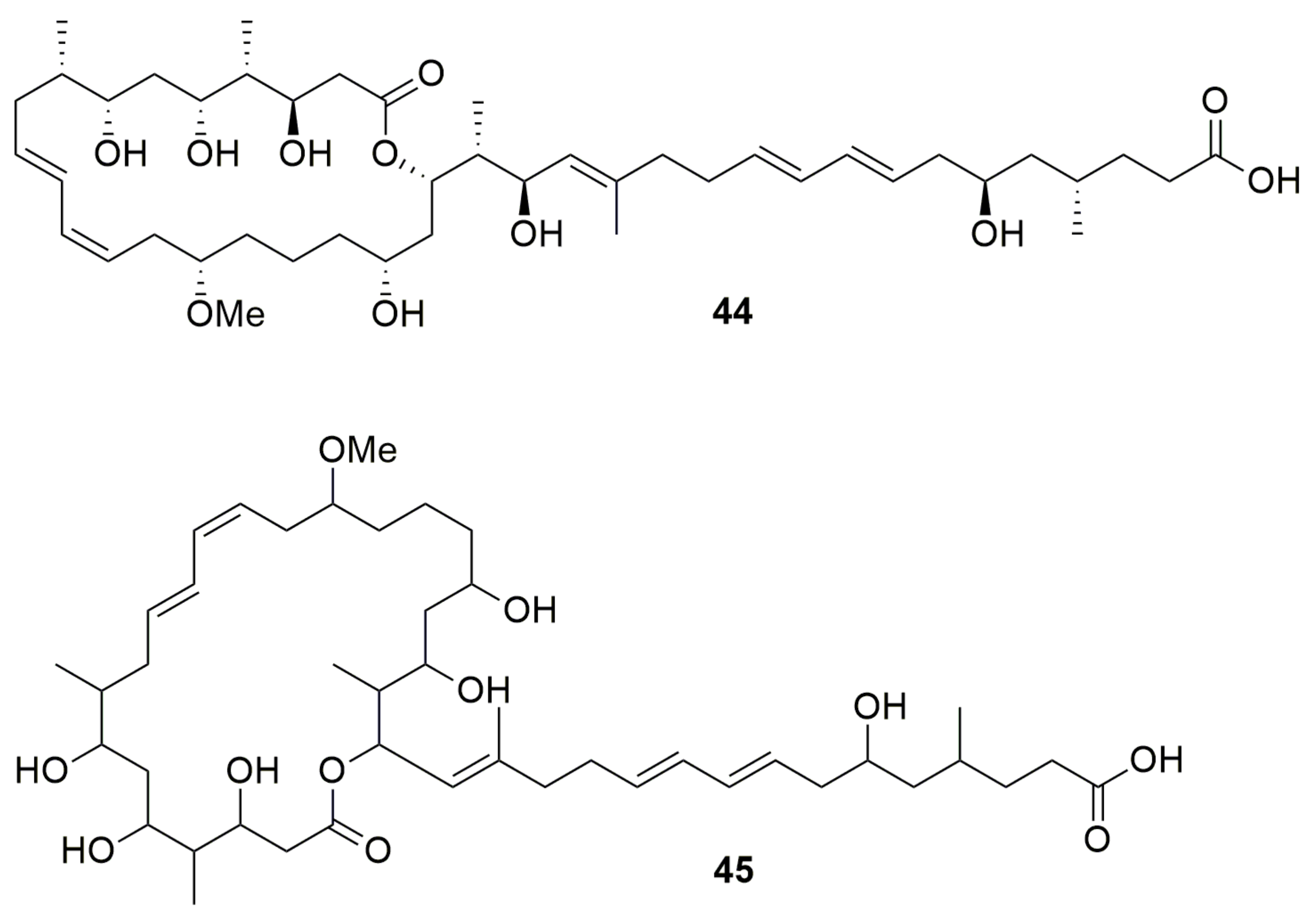 Molecules 28 01646 g006
