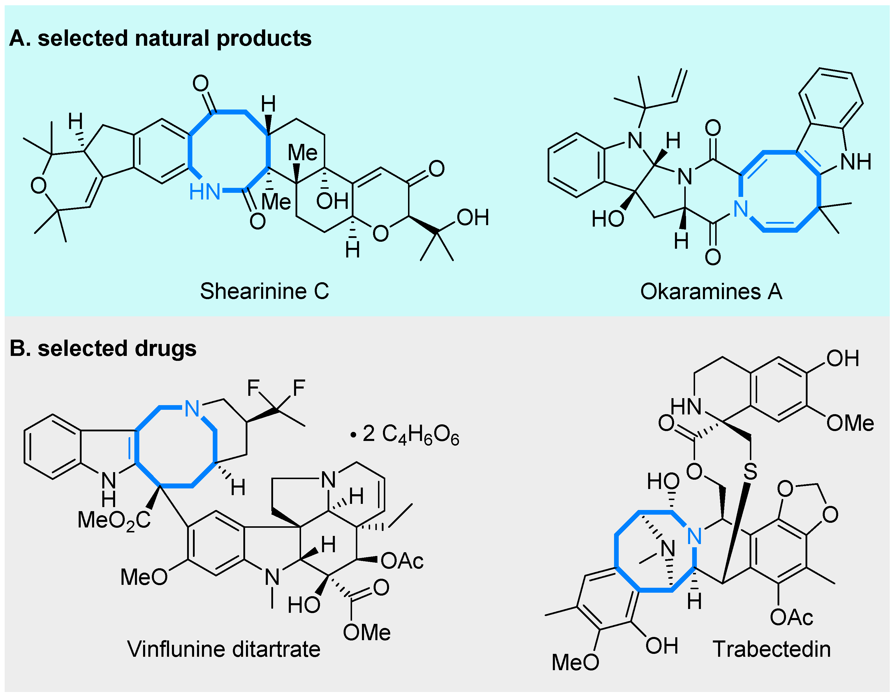 Molecules 28 01650 g001