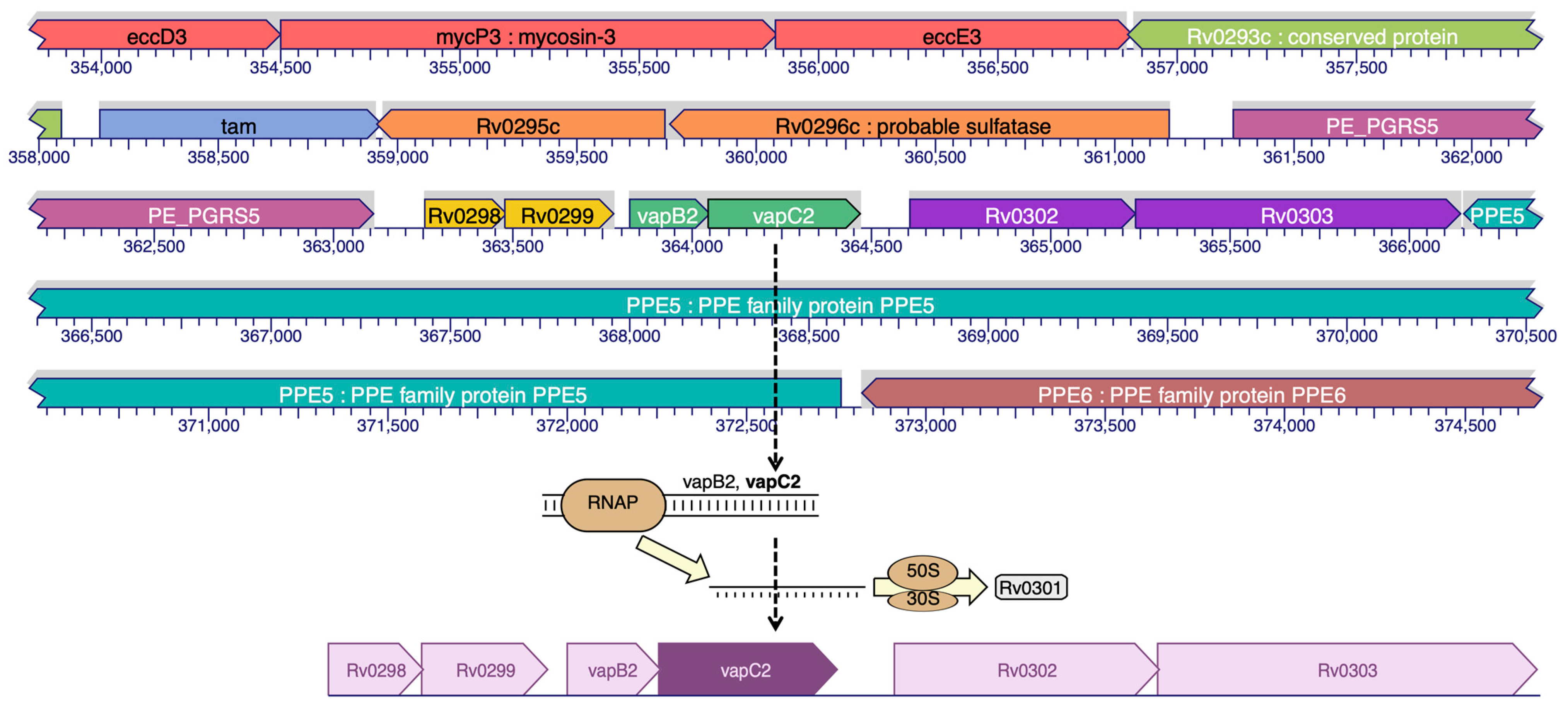 Molecules 28 01652 g001
