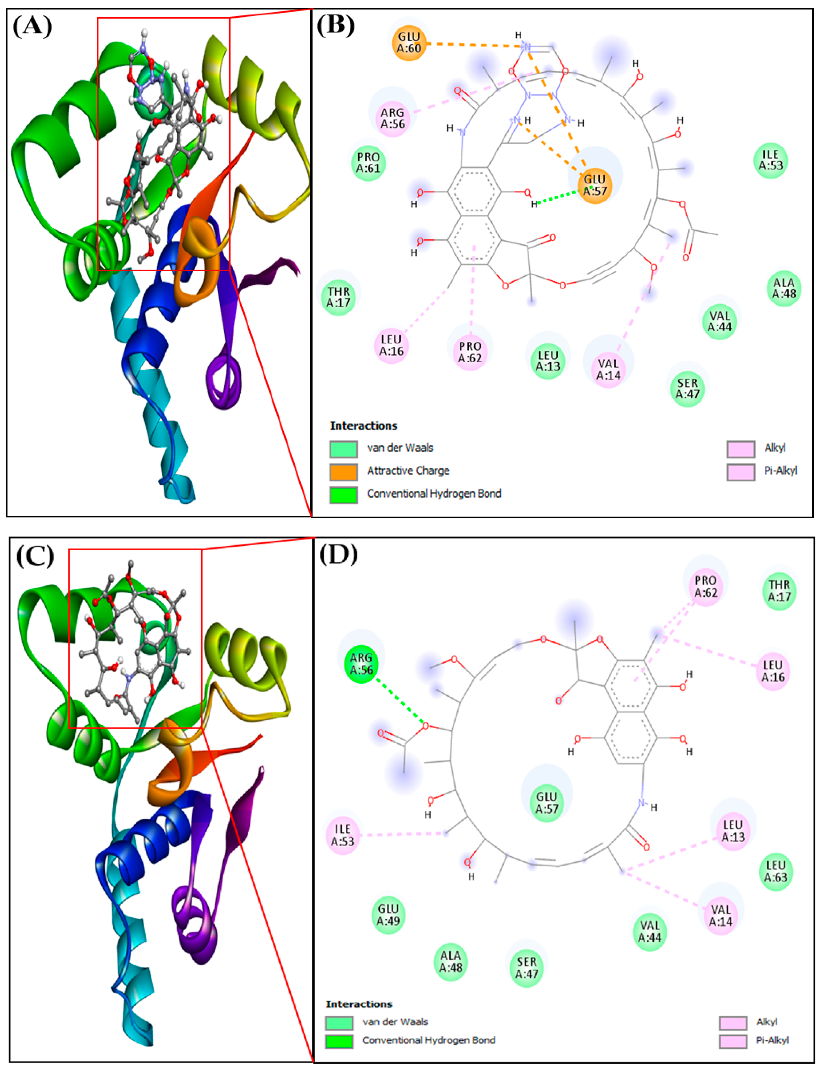 Molecules 28 01652 g005