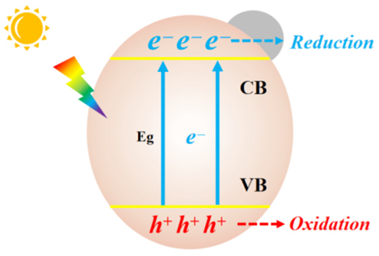 Molecules 28 01653 g001