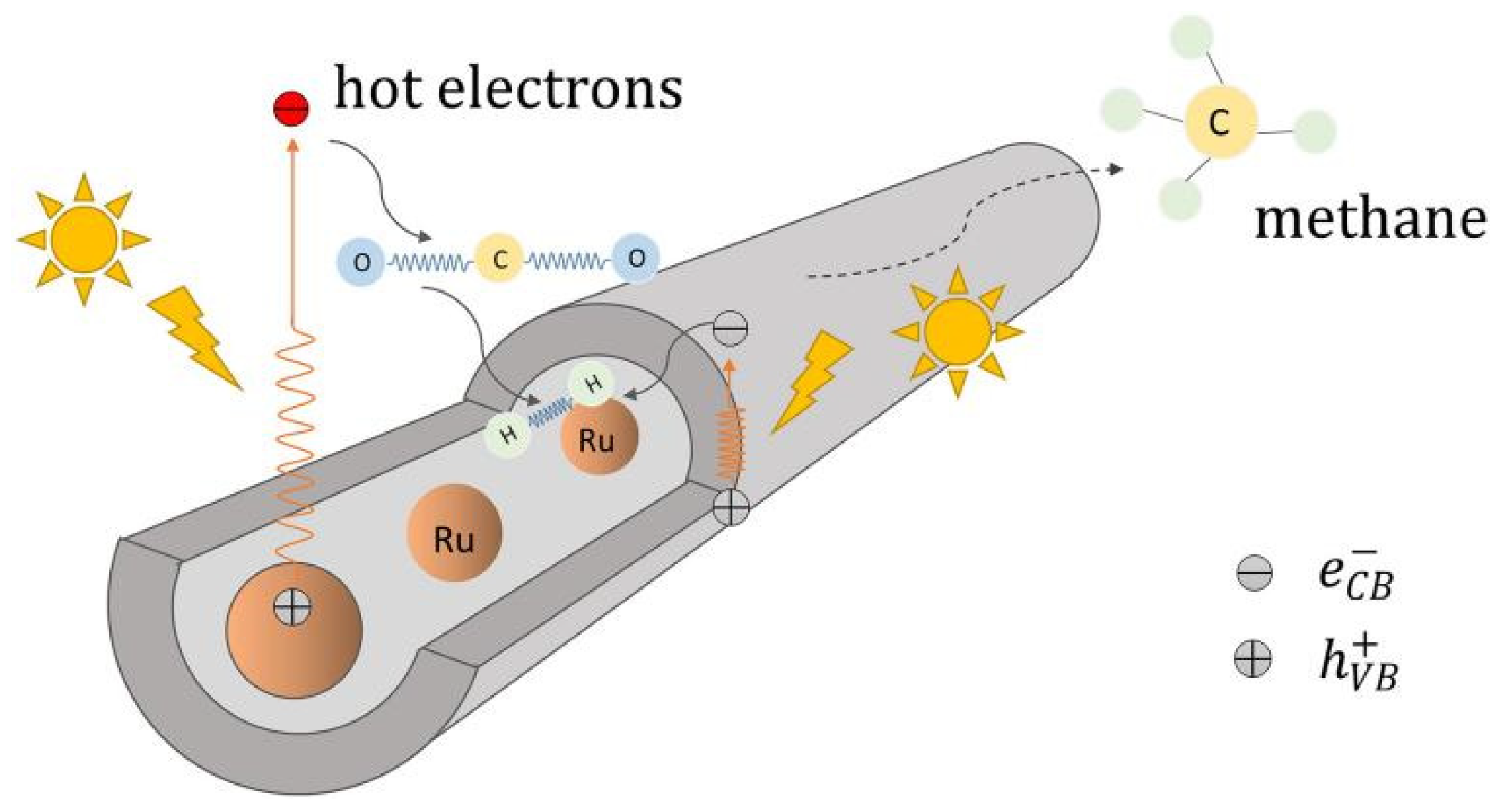 Molecules 28 01653 g005