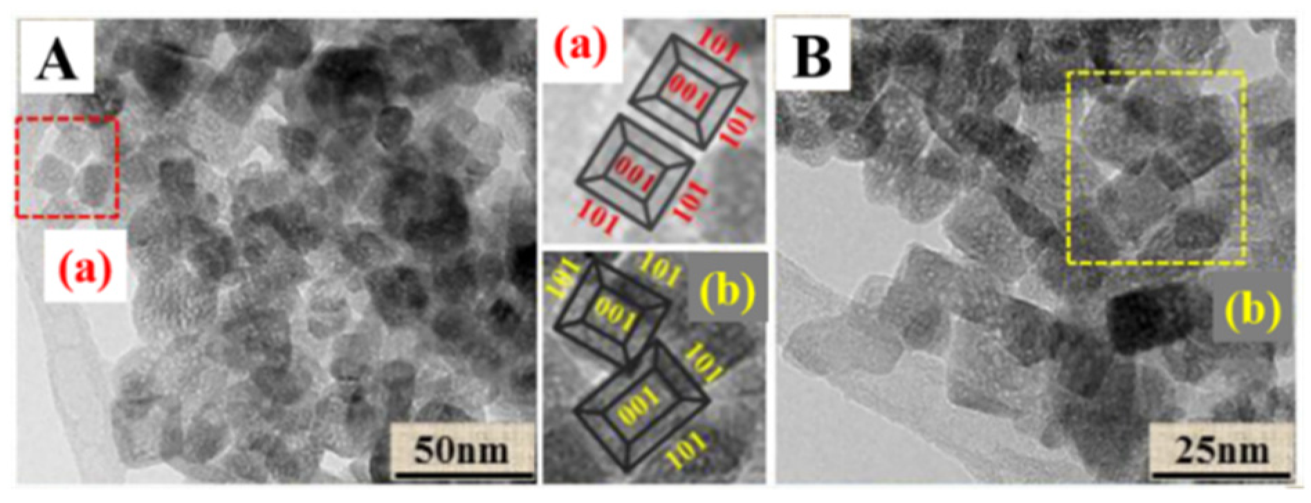 Molecules 28 01653 g006