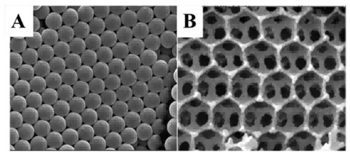 Molecules 28 01653 g007