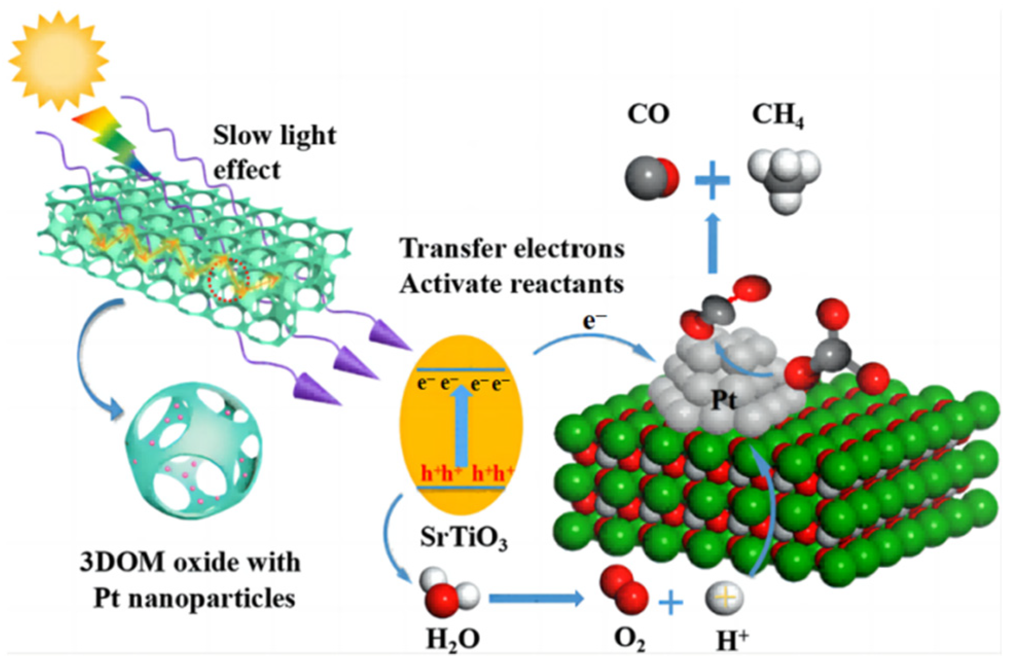 Molecules 28 01653 g008