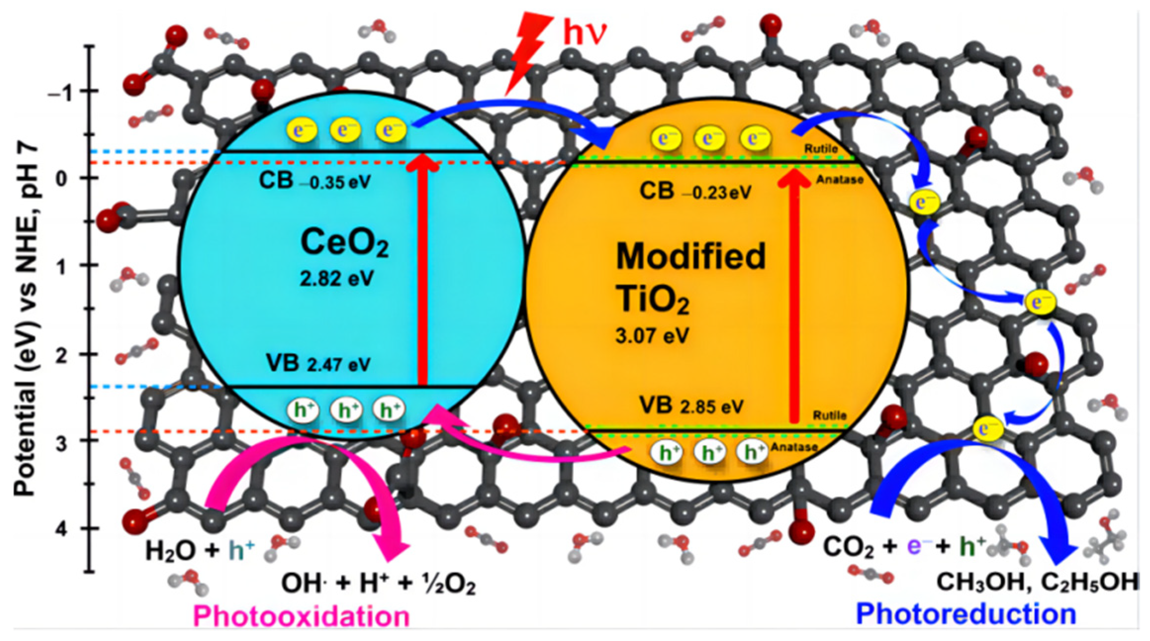 Molecules 28 01653 g009
