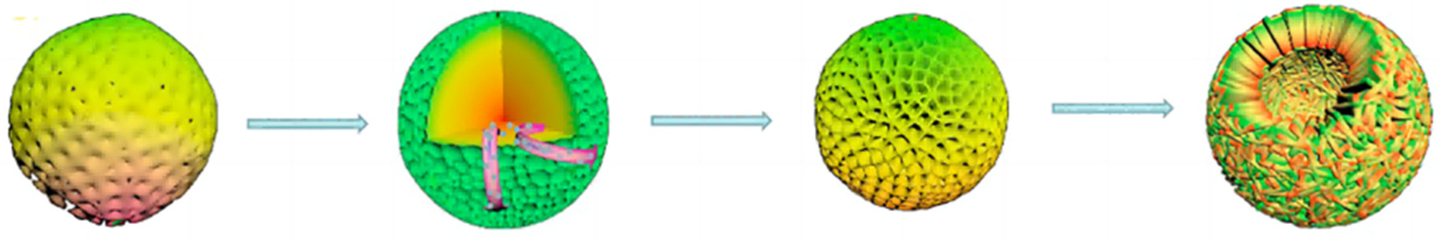 Molecules 28 01653 g010