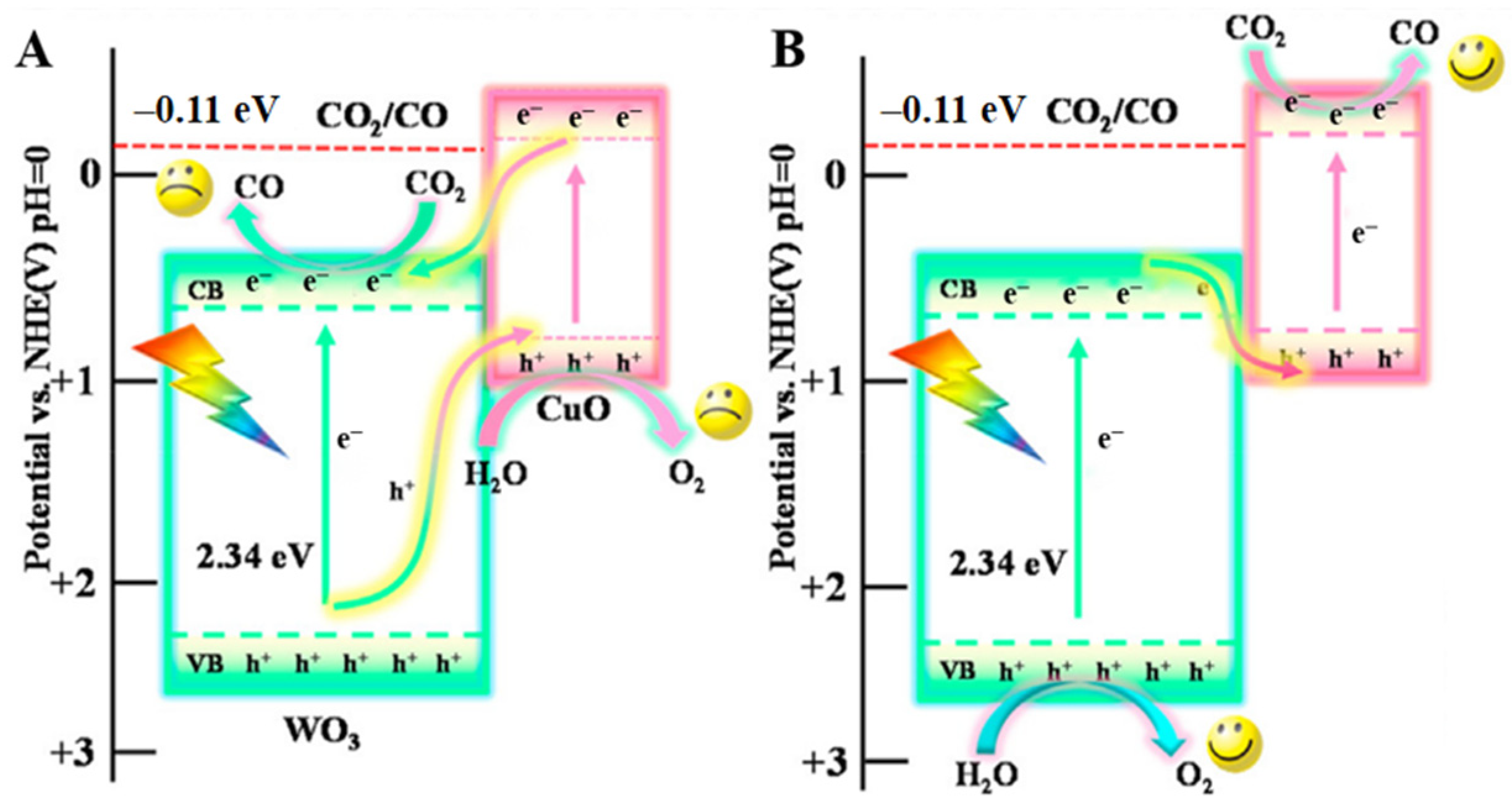 Molecules 28 01653 g011