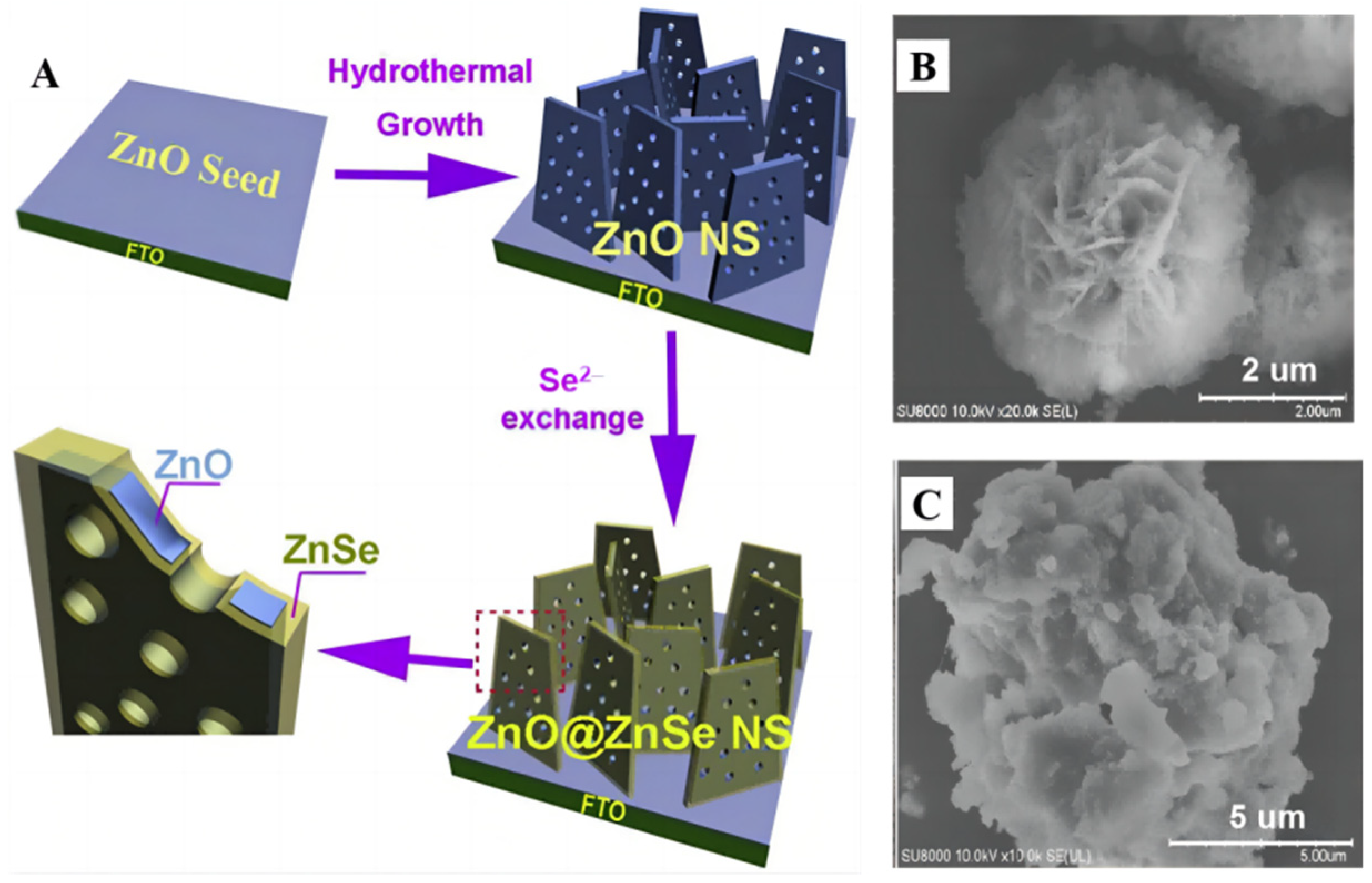Molecules 28 01653 g012
