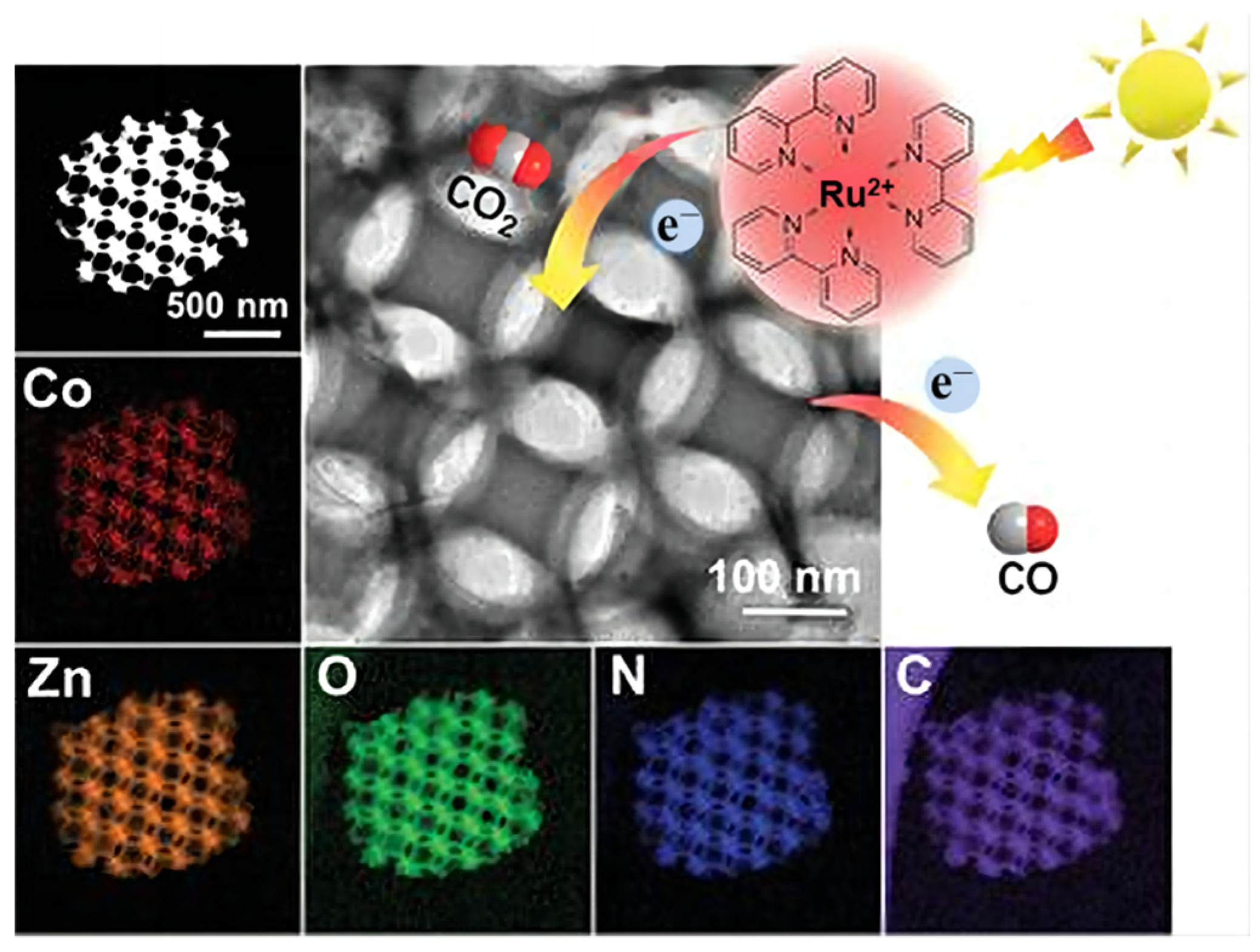 Molecules 28 01653 g013
