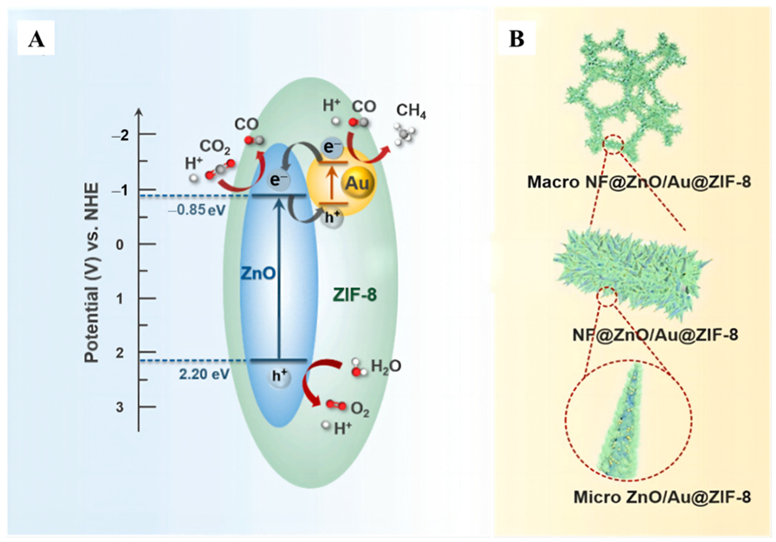 Molecules 28 01653 g014