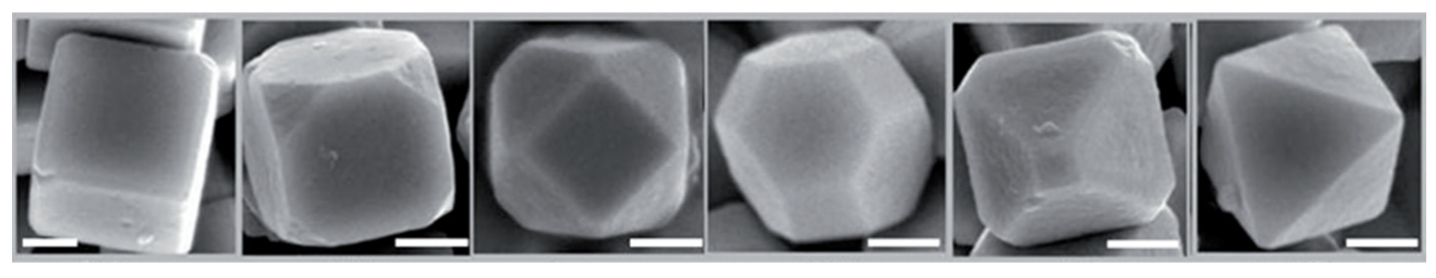 Molecules 28 01653 g016