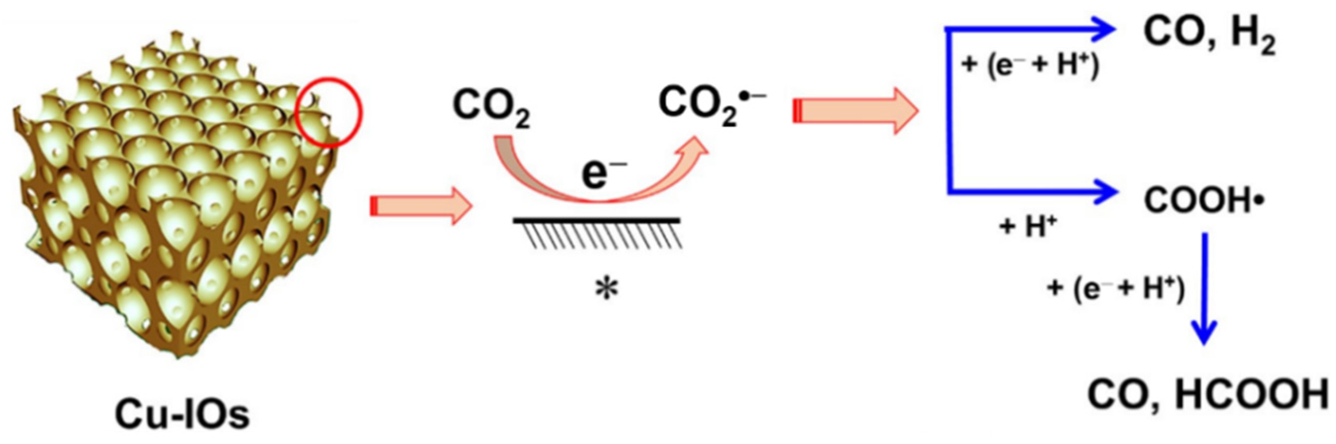 Molecules 28 01653 g017