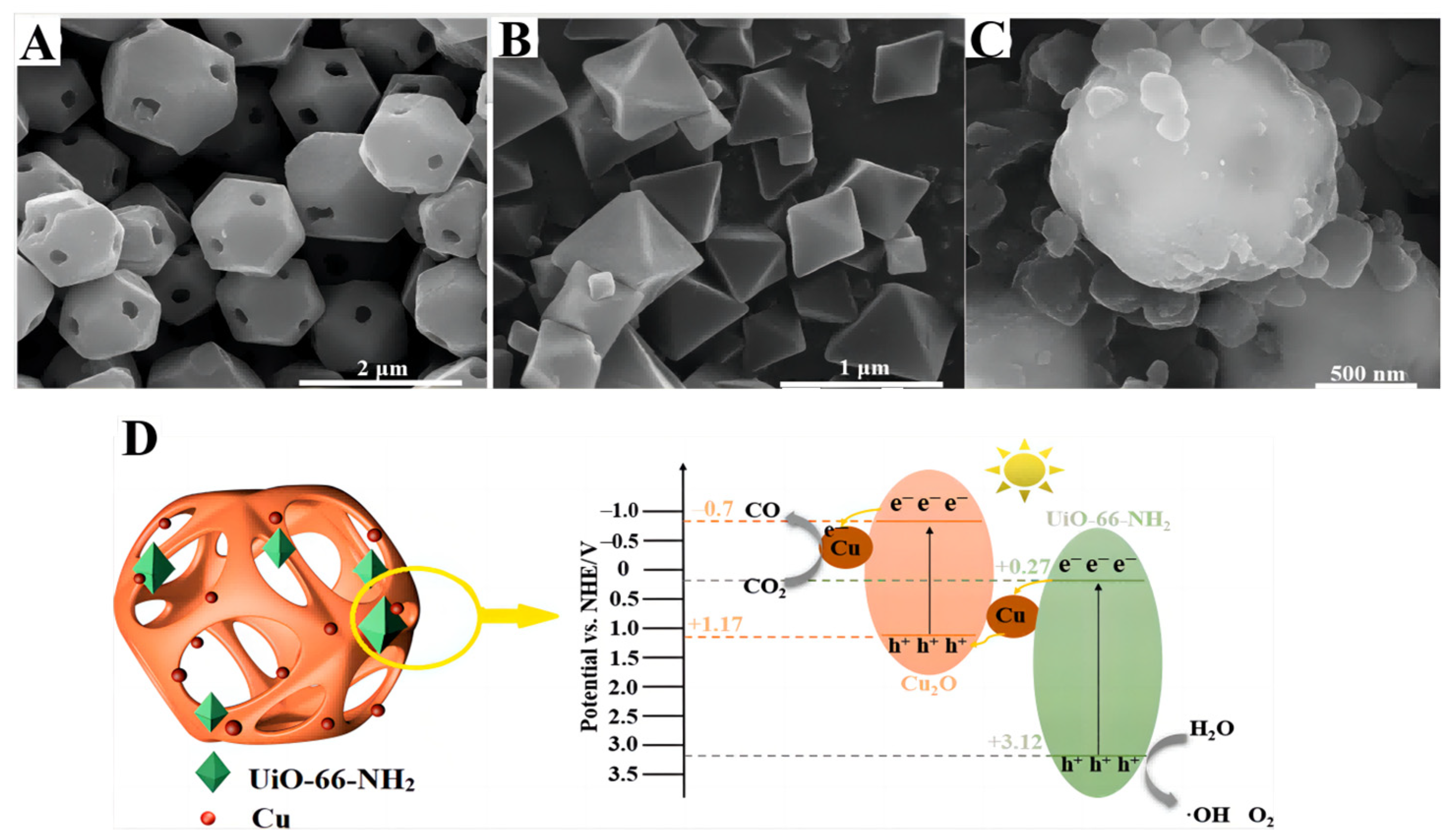 Molecules 28 01653 g018