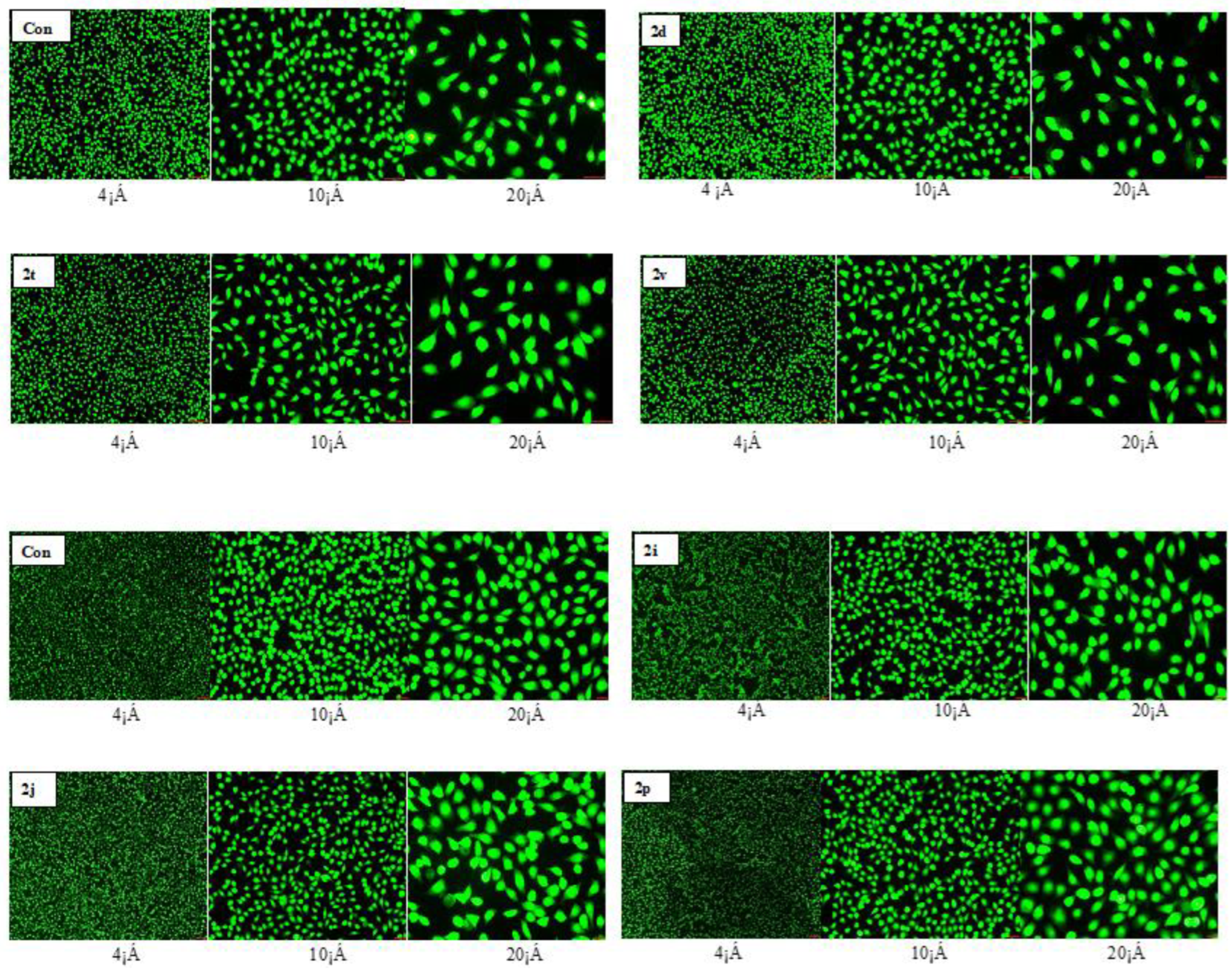 Molecules 28 01654 g005