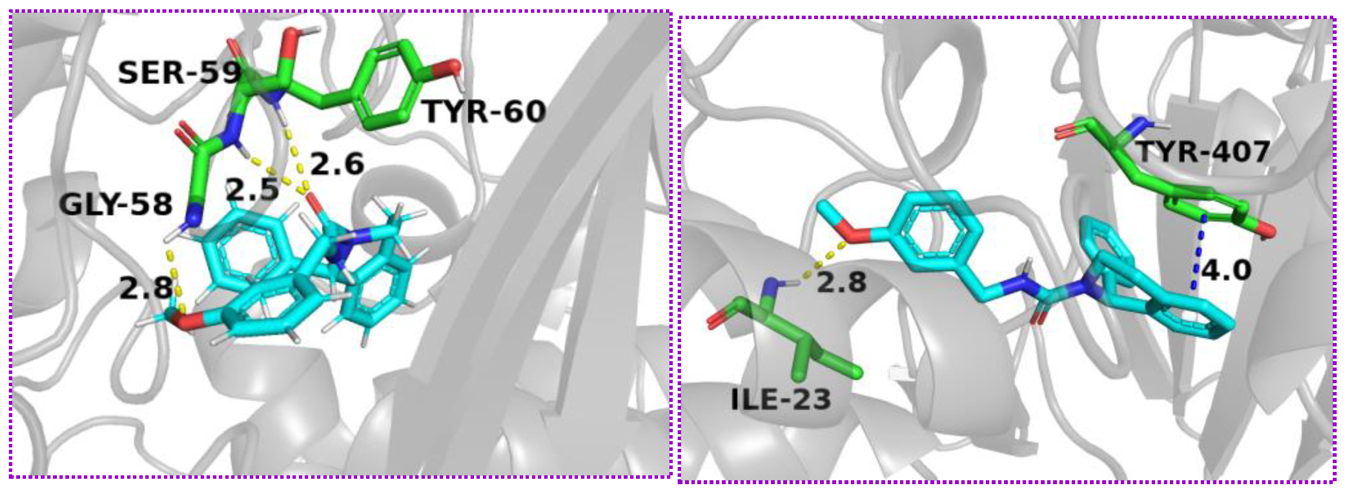 Molecules 28 01654 g006