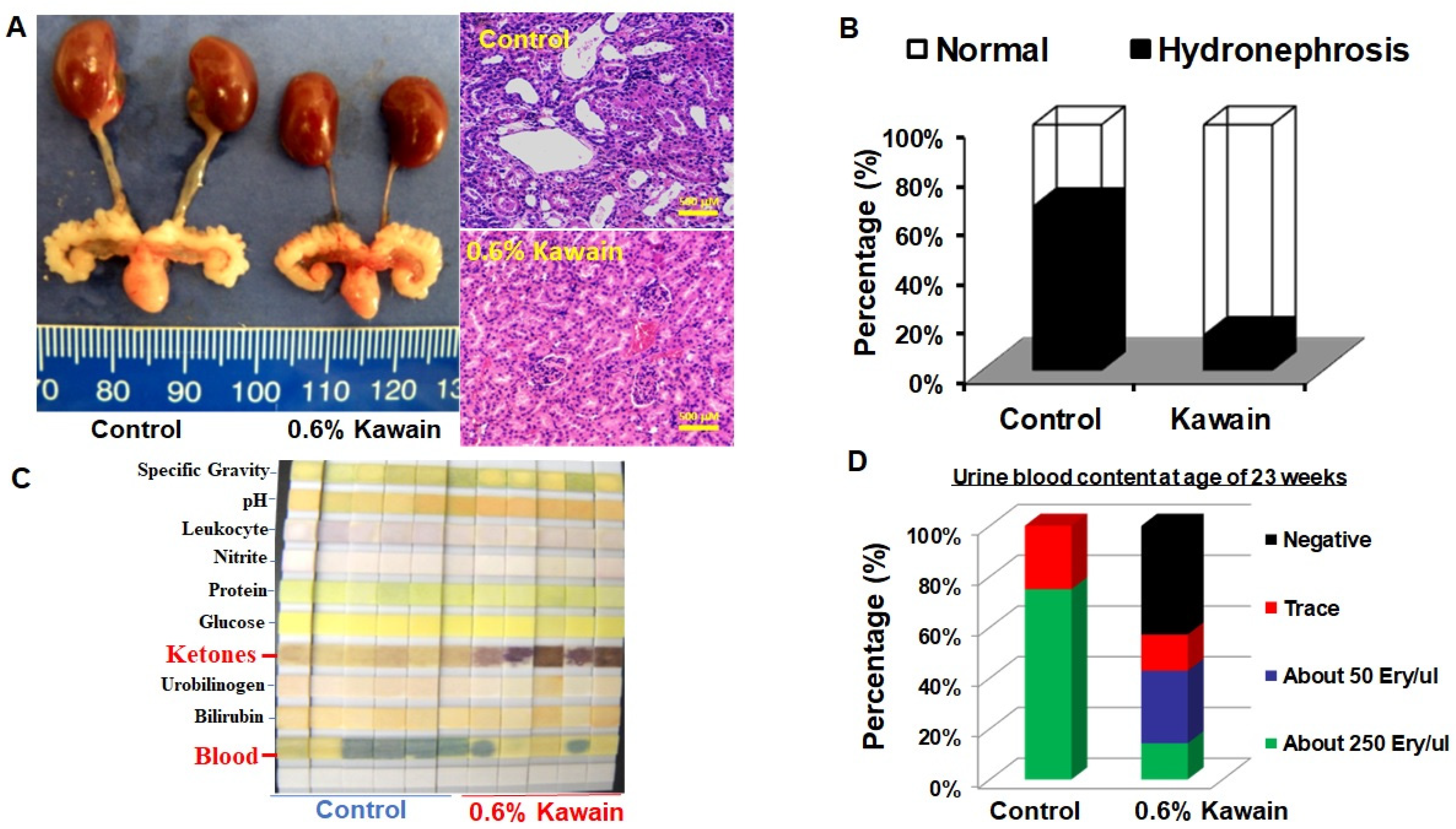 Molecules 28 01666 g003