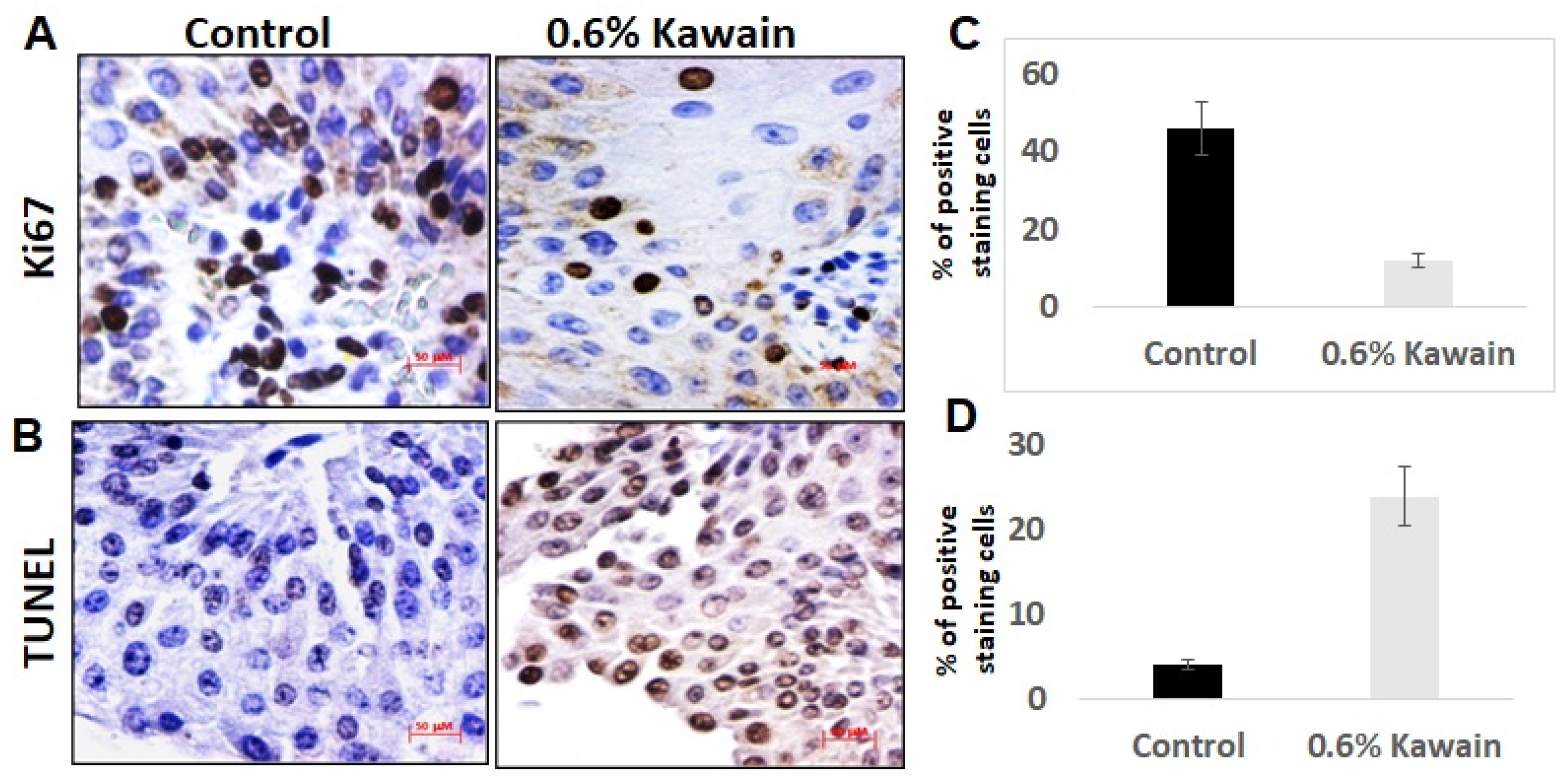 Molecules 28 01666 g004