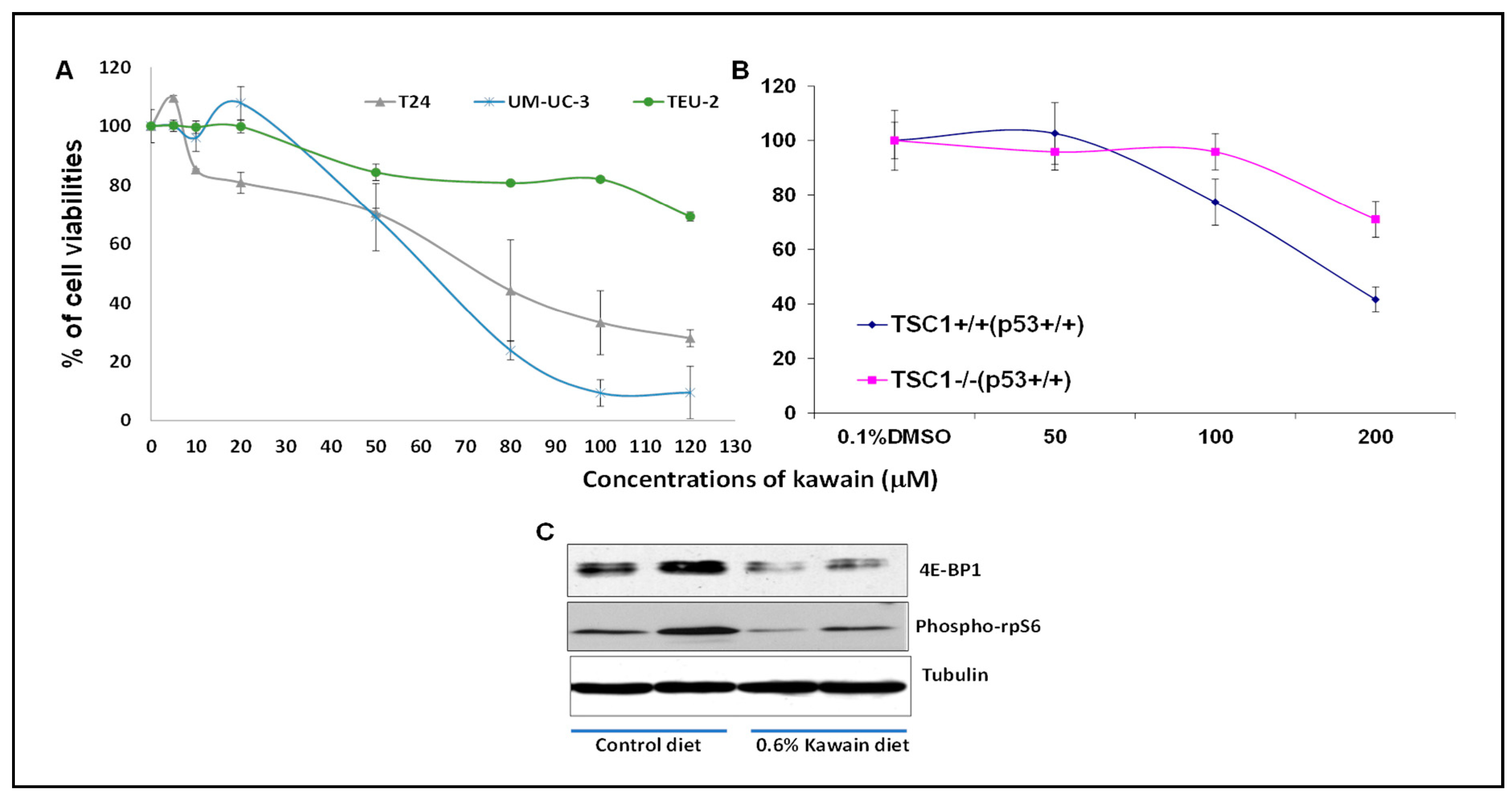 Molecules 28 01666 g005