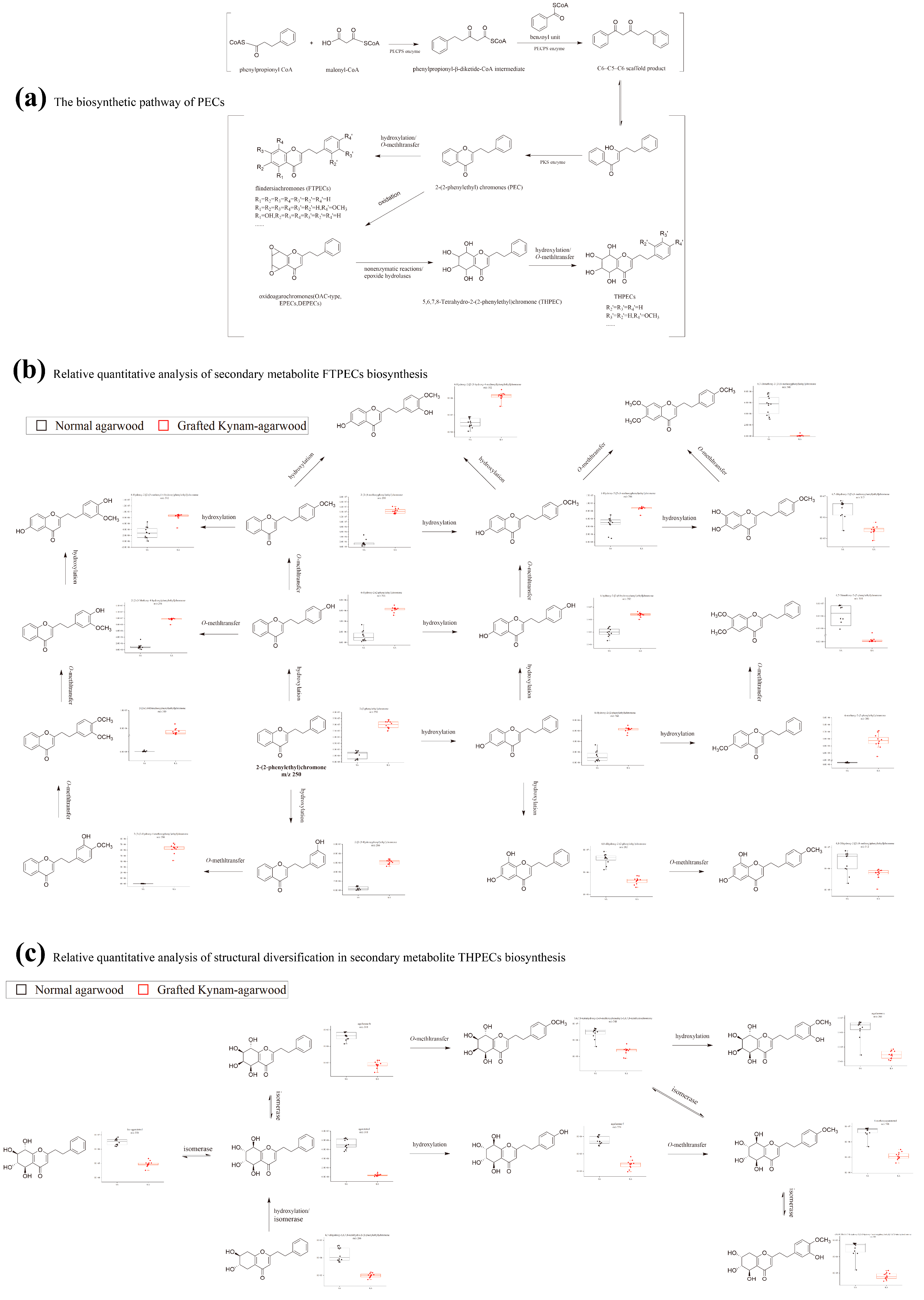 Molecules 28 01667 g006