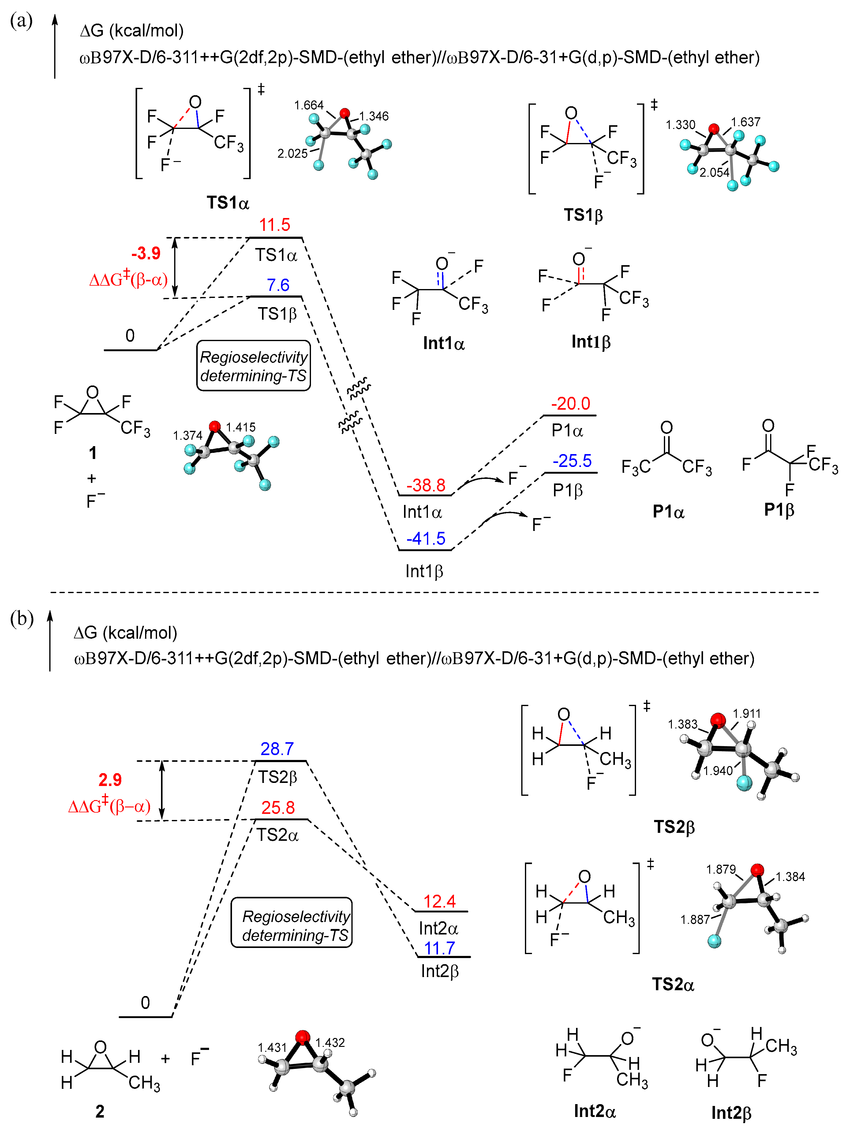 Molecules 28 01669 g001