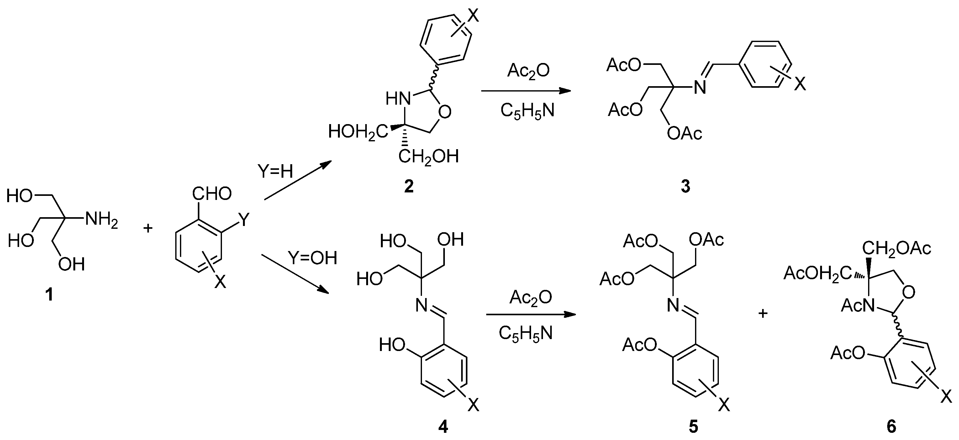 Molecules 28 01670 sch001
