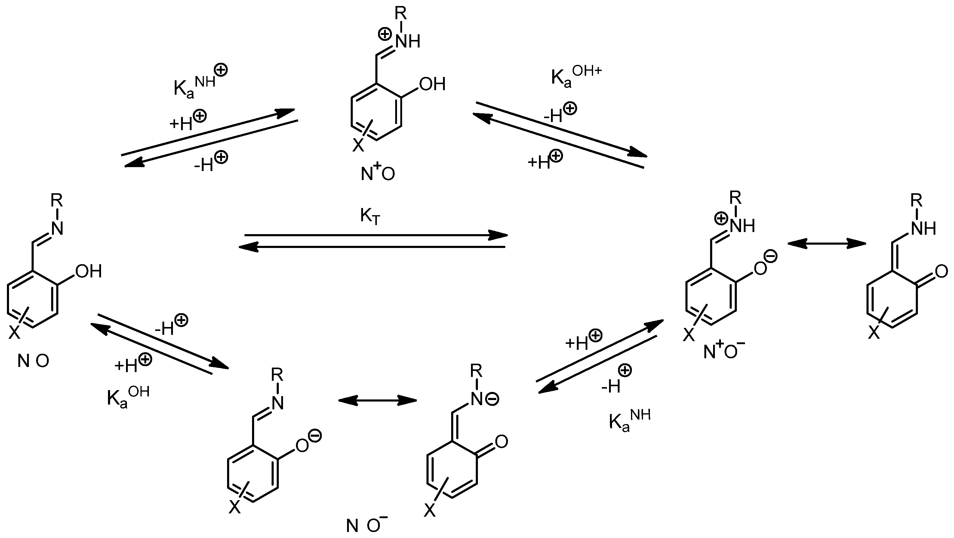 Molecules 28 01670 sch006