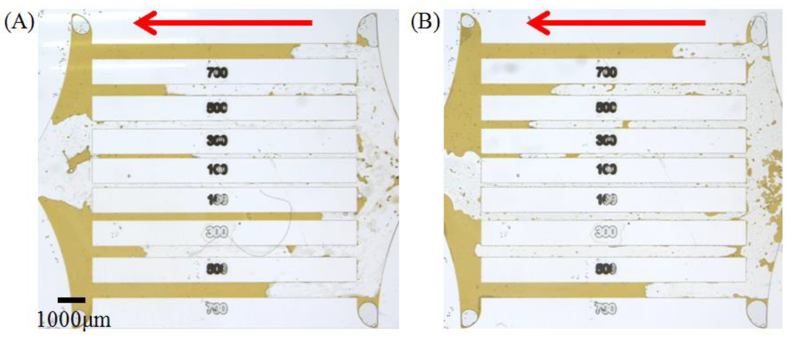 Molecules 28 01672 g005