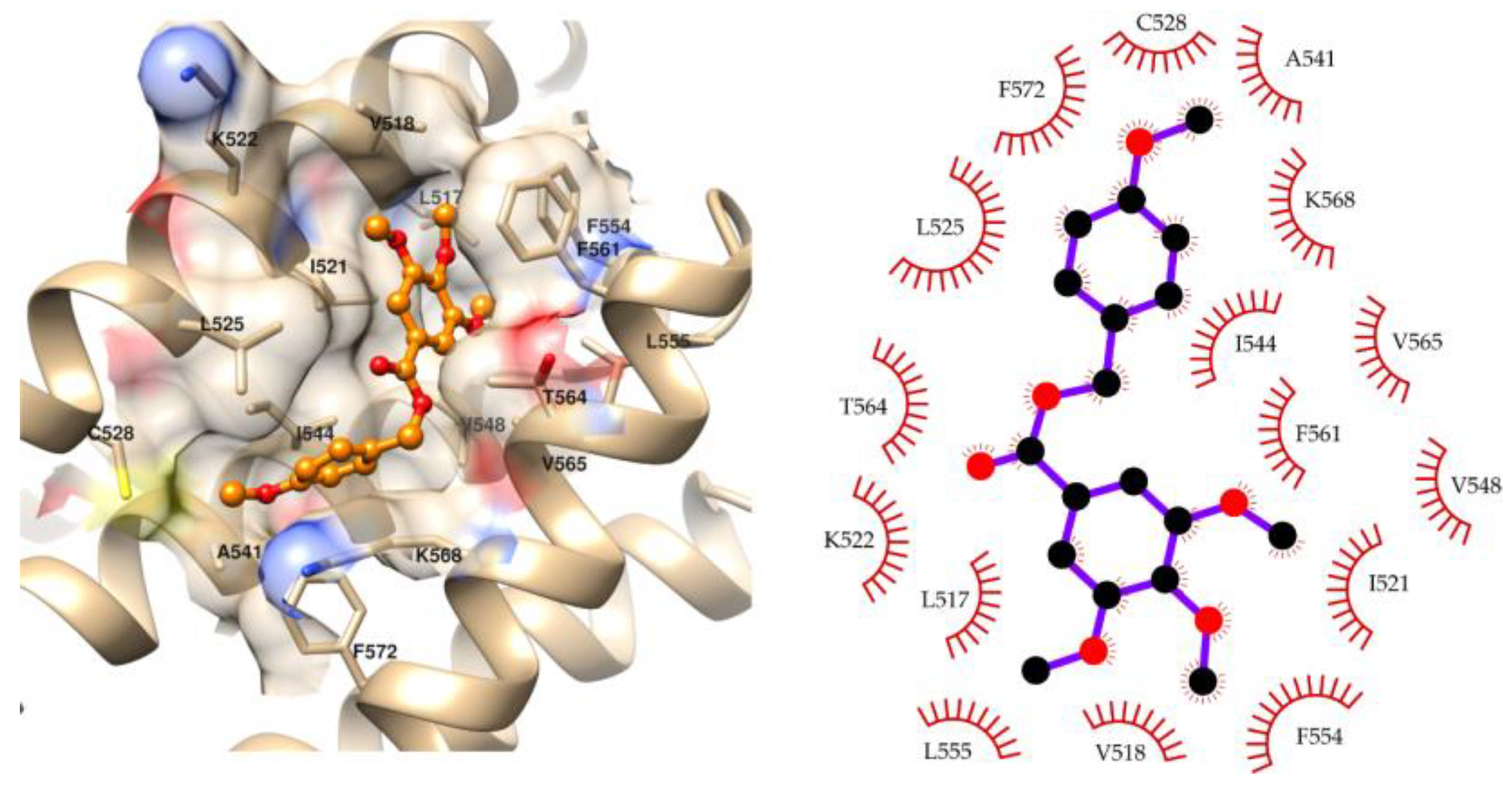 Molecules 28 01675 g003