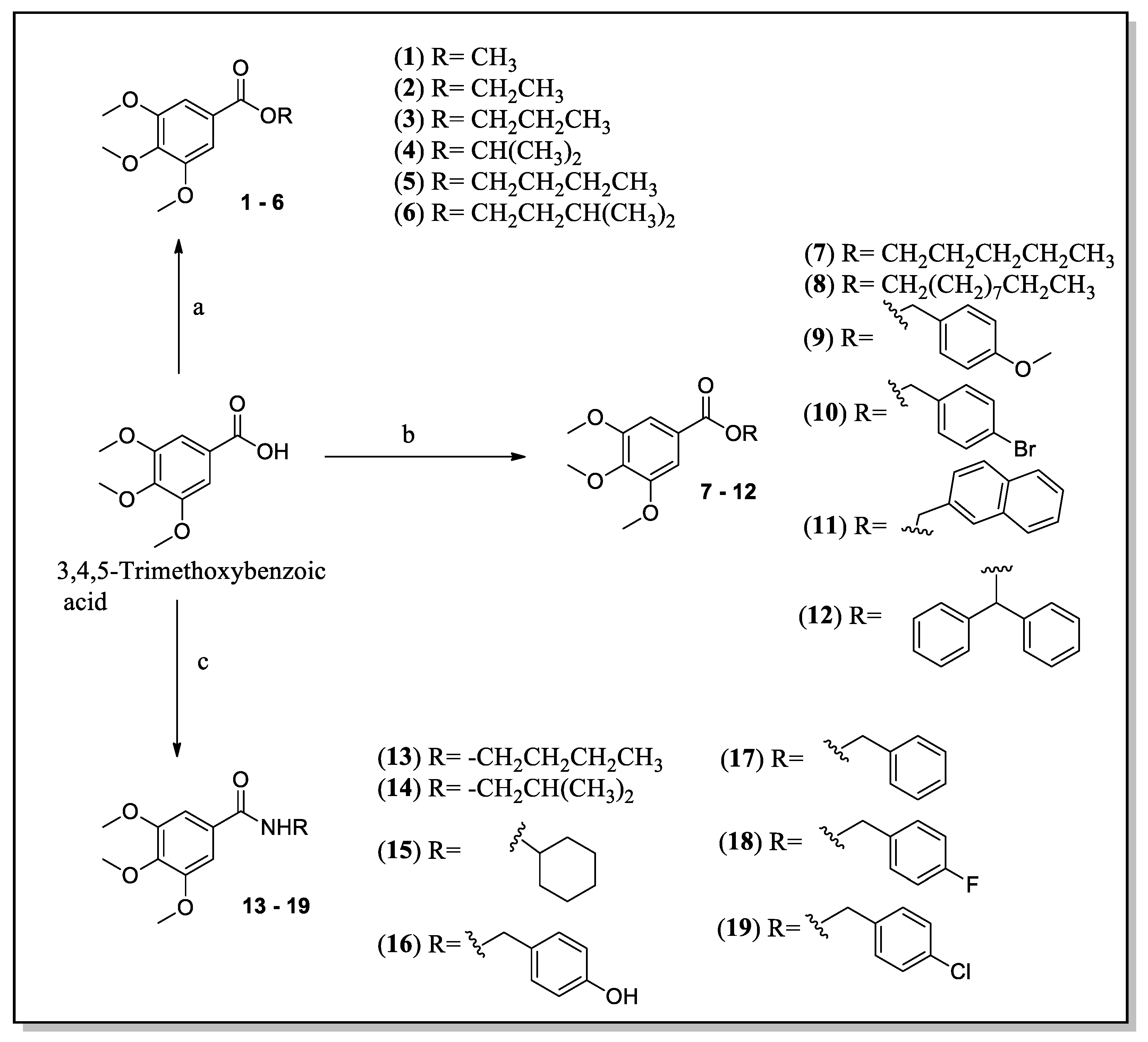 Molecules 28 01675 sch001