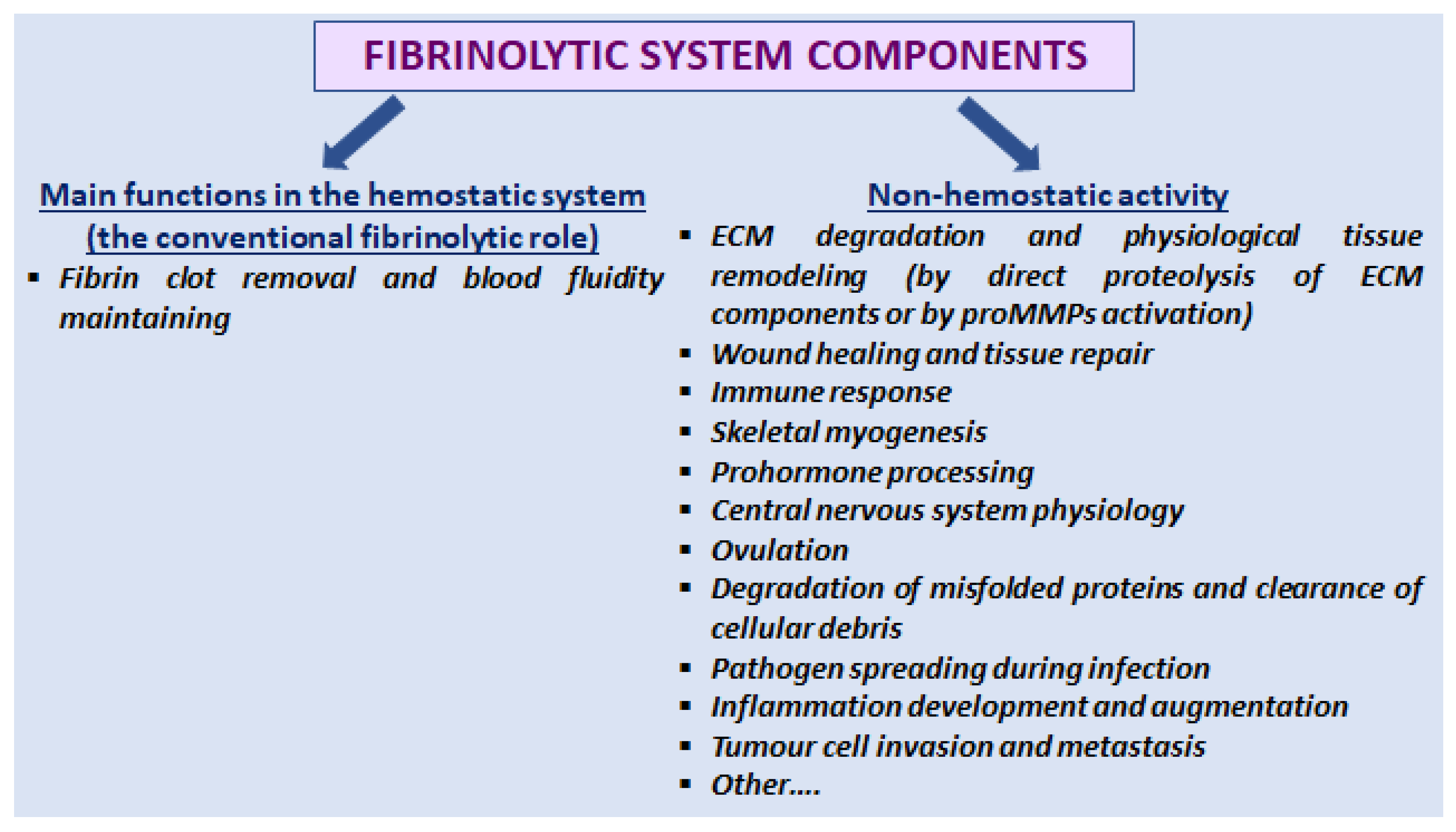Molecules 28 01677 g001