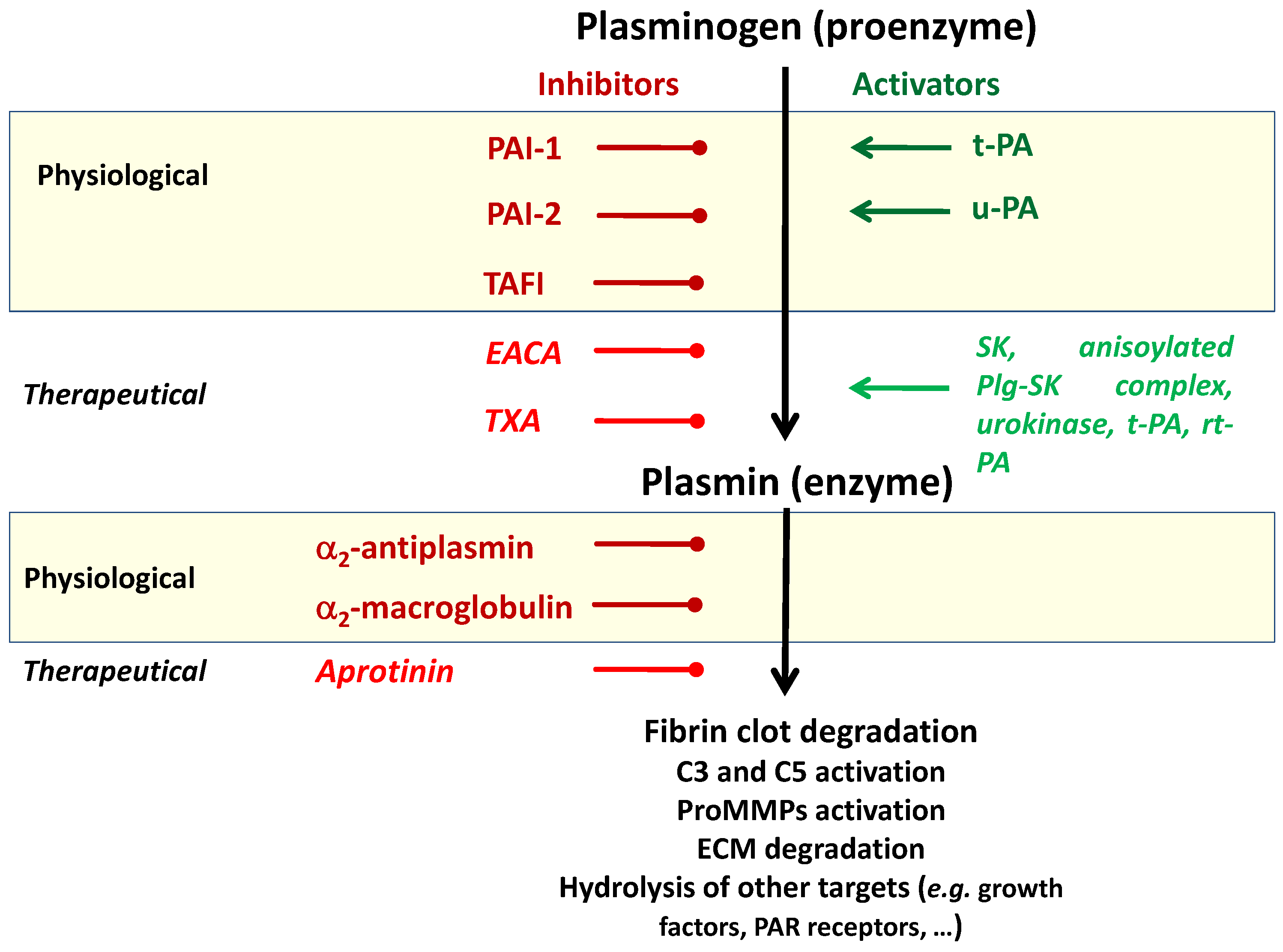 Molecules 28 01677 g002