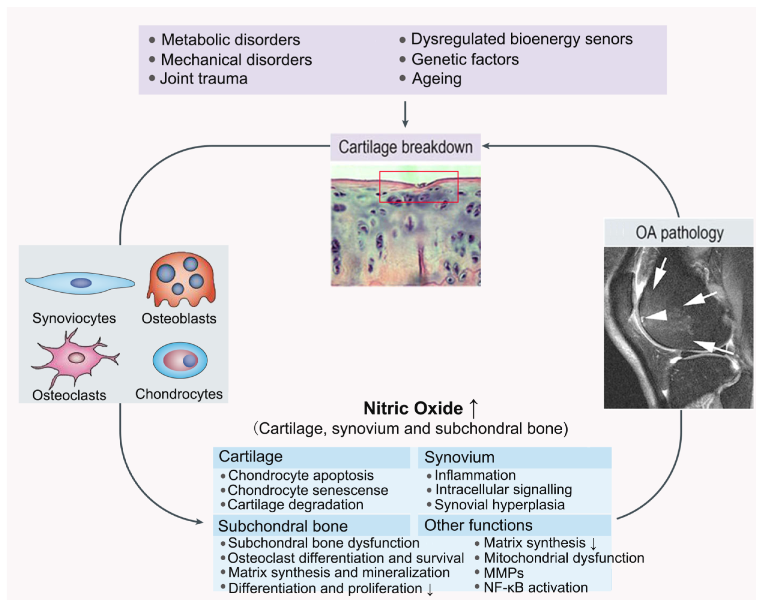 Molecules 28 01683 g003