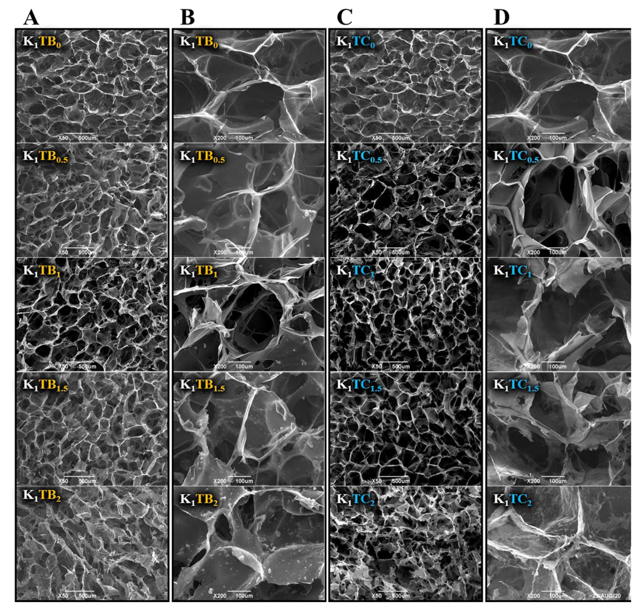 Molecules 28 01691 g001