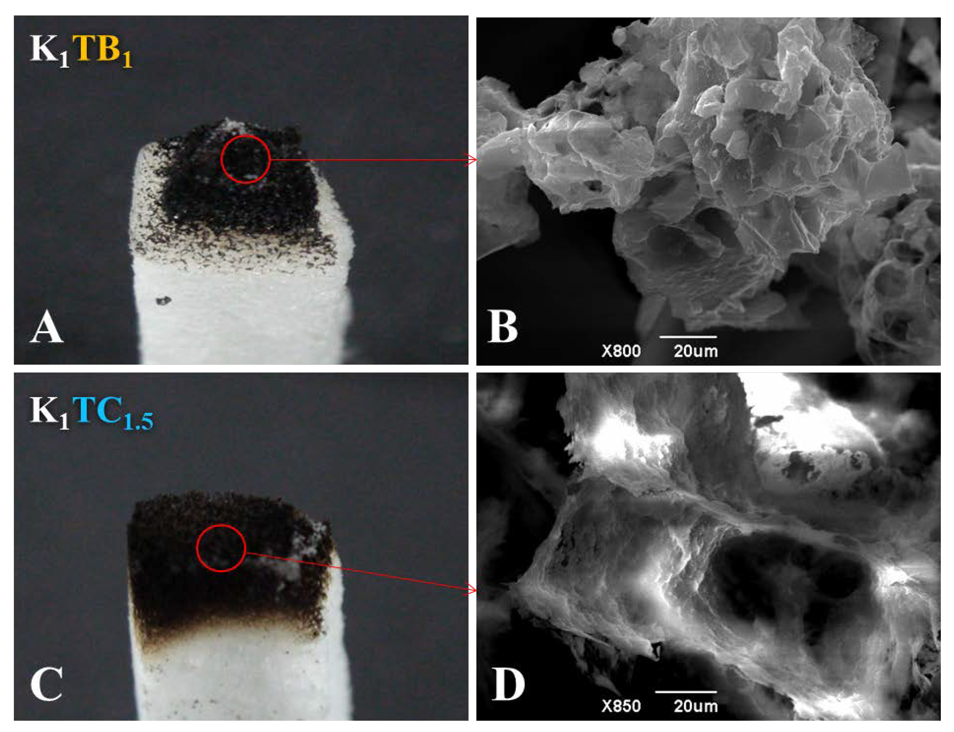 Molecules 28 01691 g010