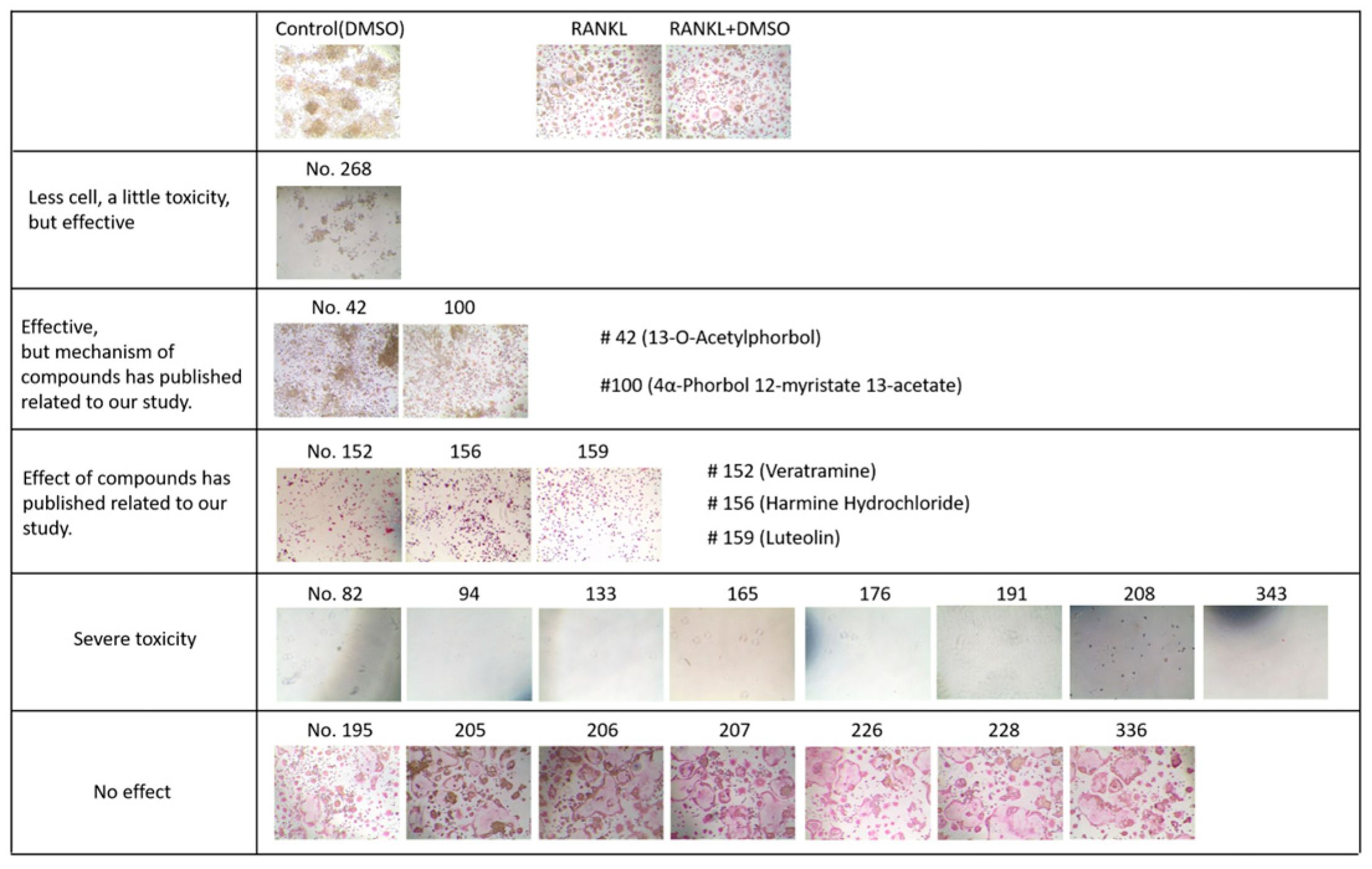 Molecules 28 01693 g002 Molecules 28 01693 g002