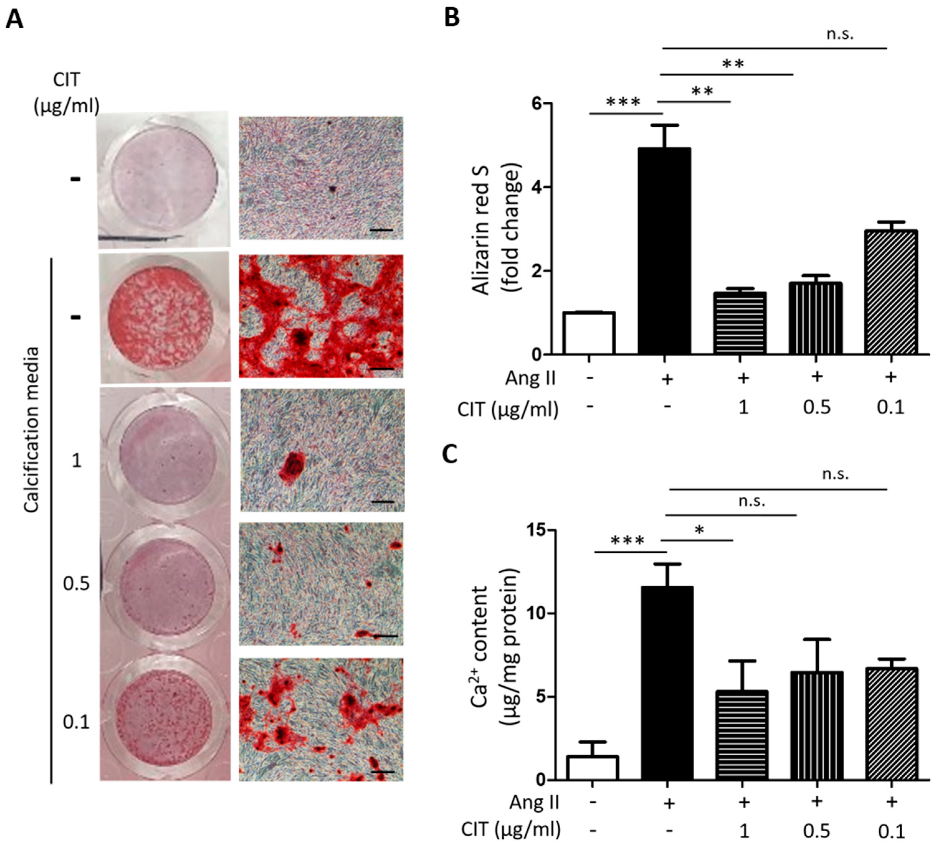 Molecules 28 01693 g004 Molecules 28 01693 g004