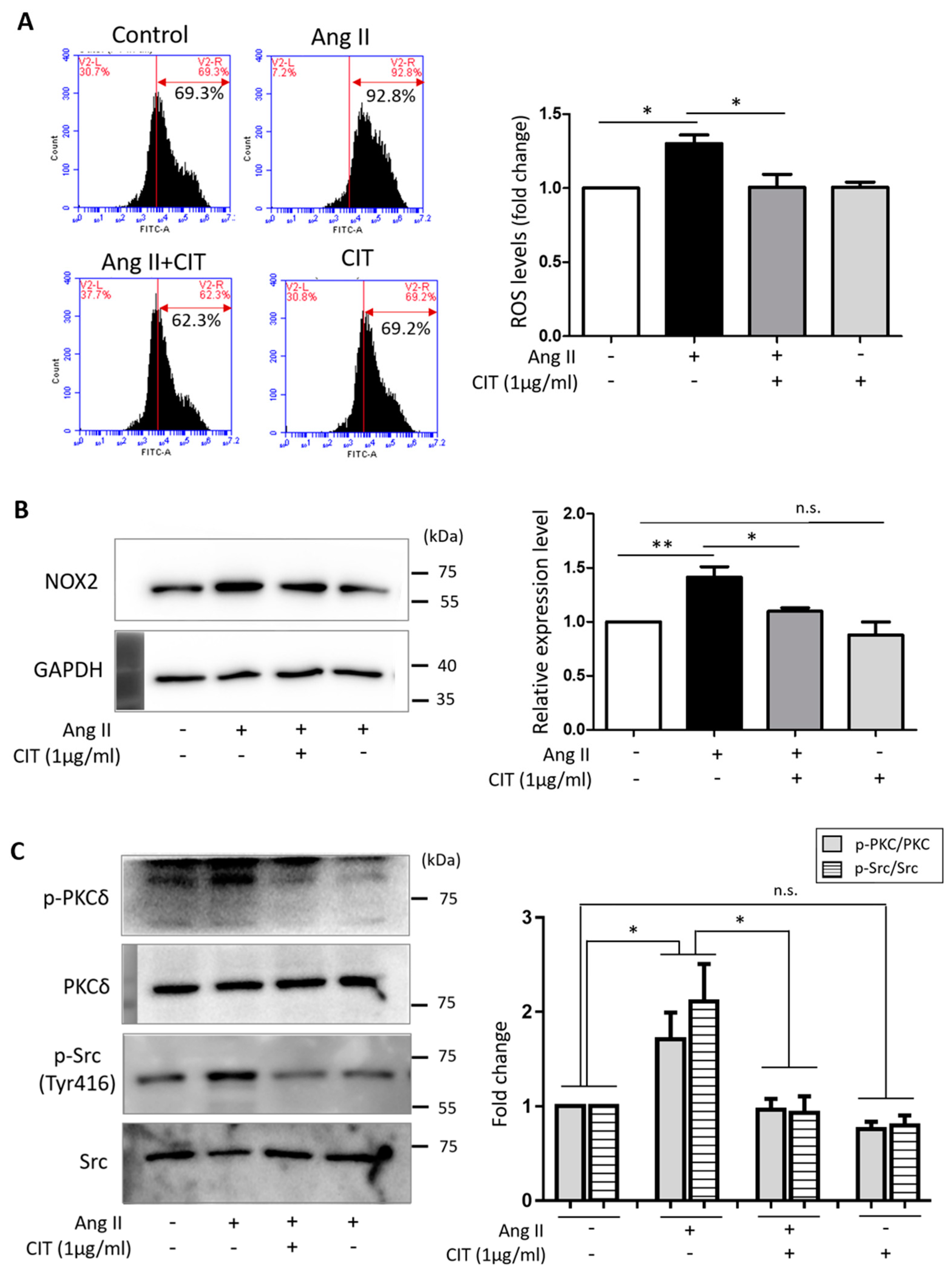 Molecules 28 01693 g006 Molecules 28 01693 g006