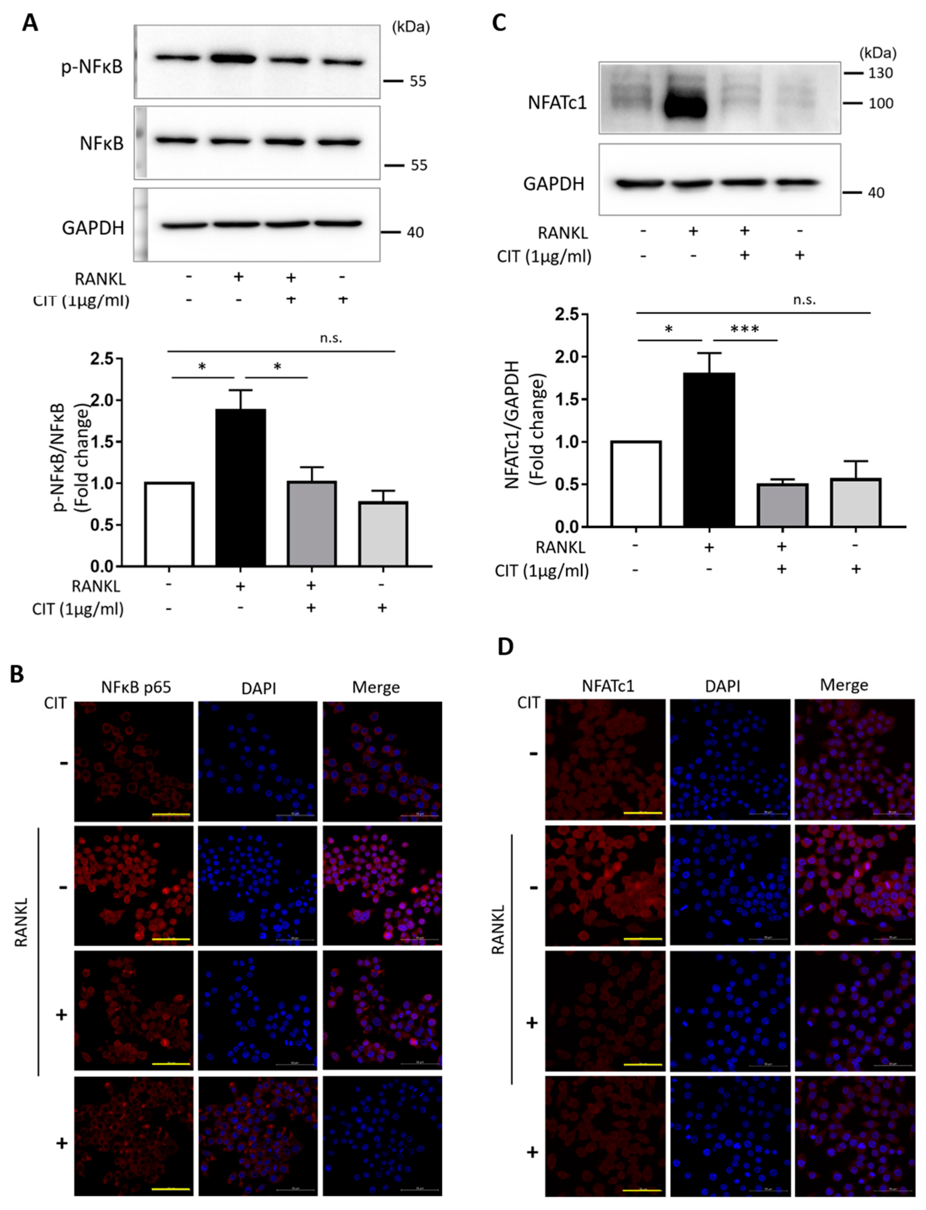 Molecules 28 01693 g010 Molecules 28 01693 g010