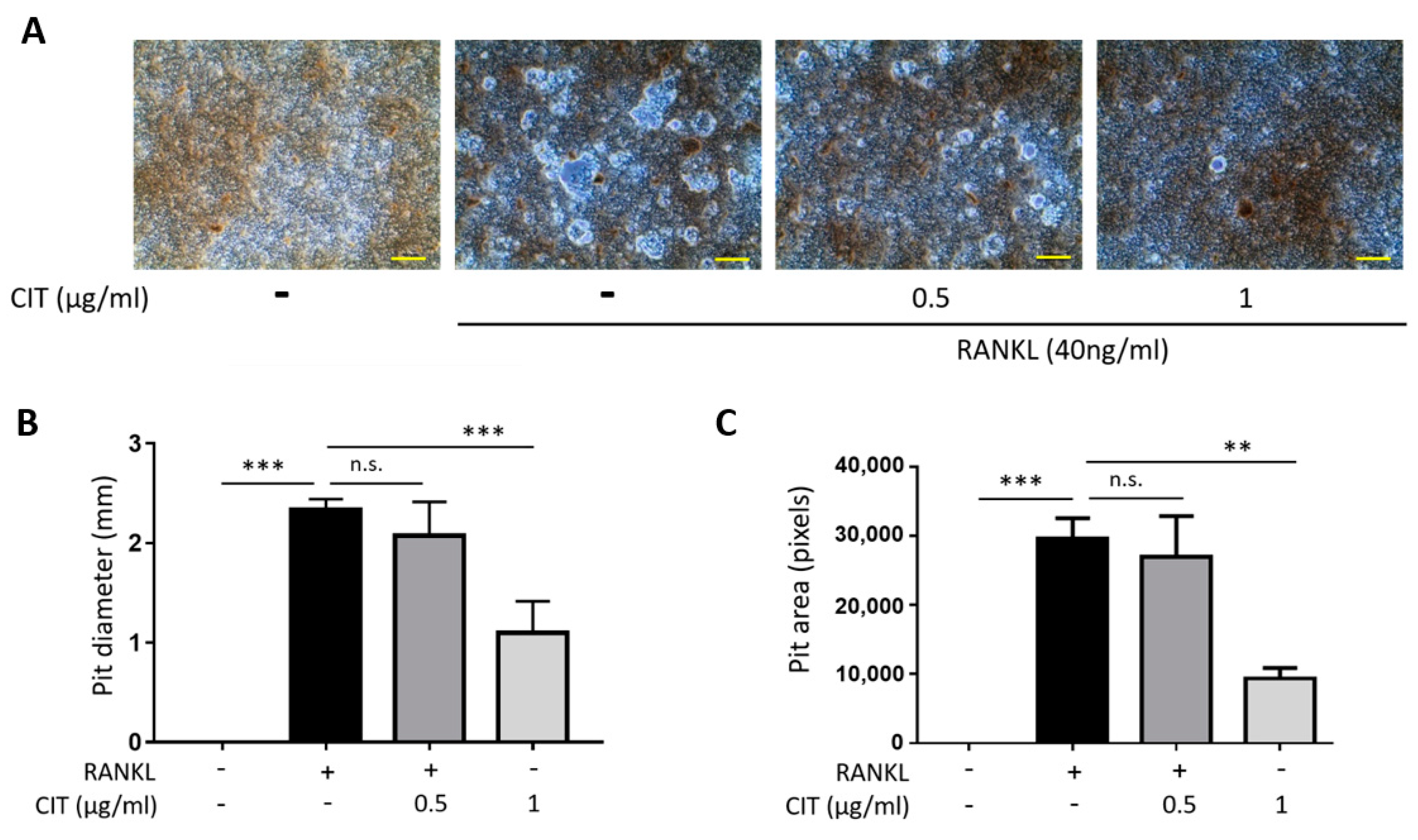 Molecules 28 01693 g011 Molecules 28 01693 g011