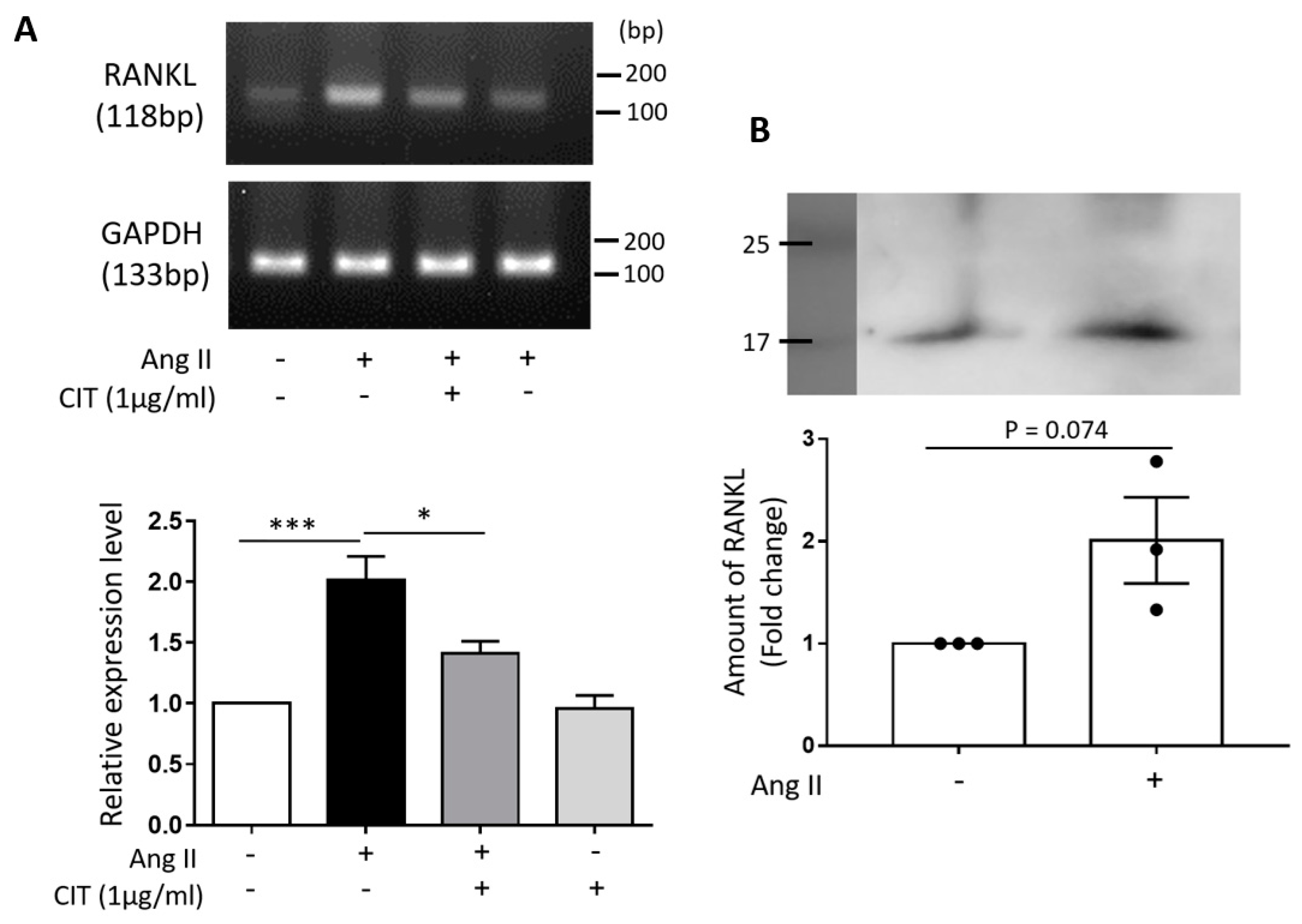Molecules 28 01693 g012 Molecules 28 01693 g012