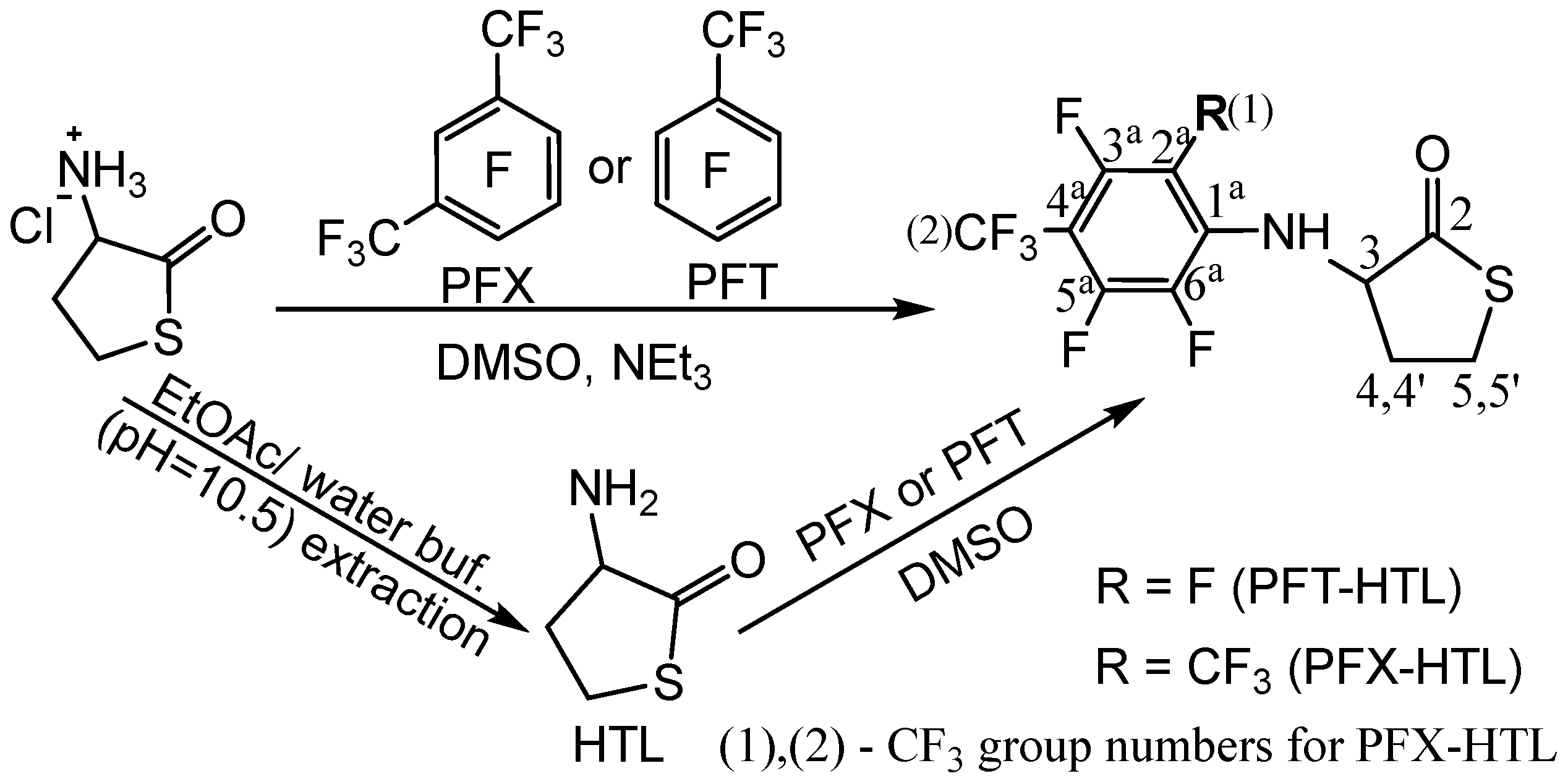 Molecules 28 01695 g001