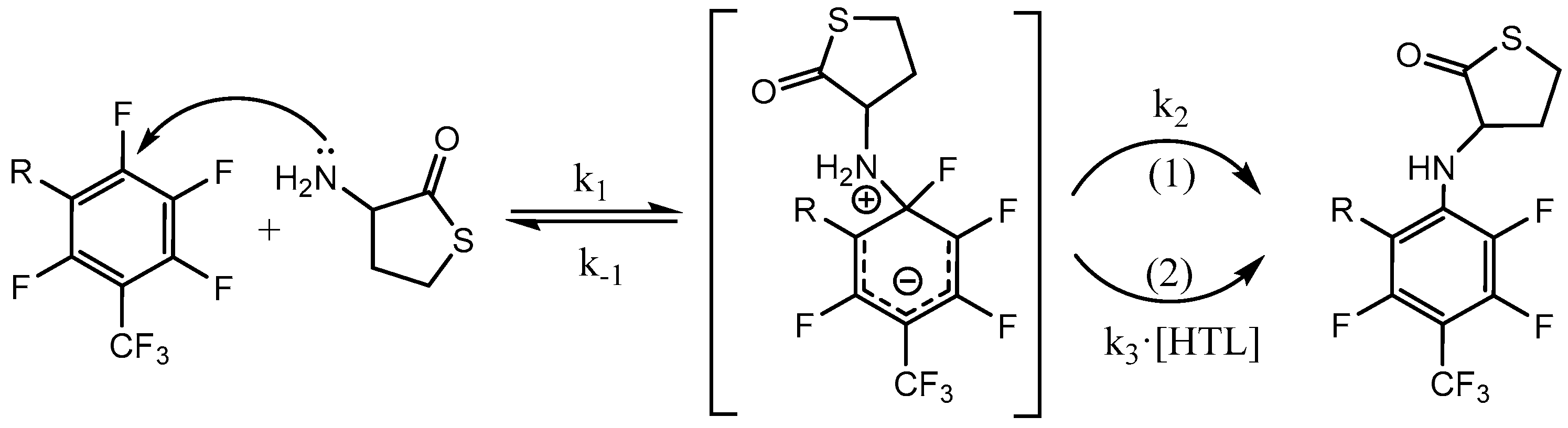 Molecules 28 01695 g004