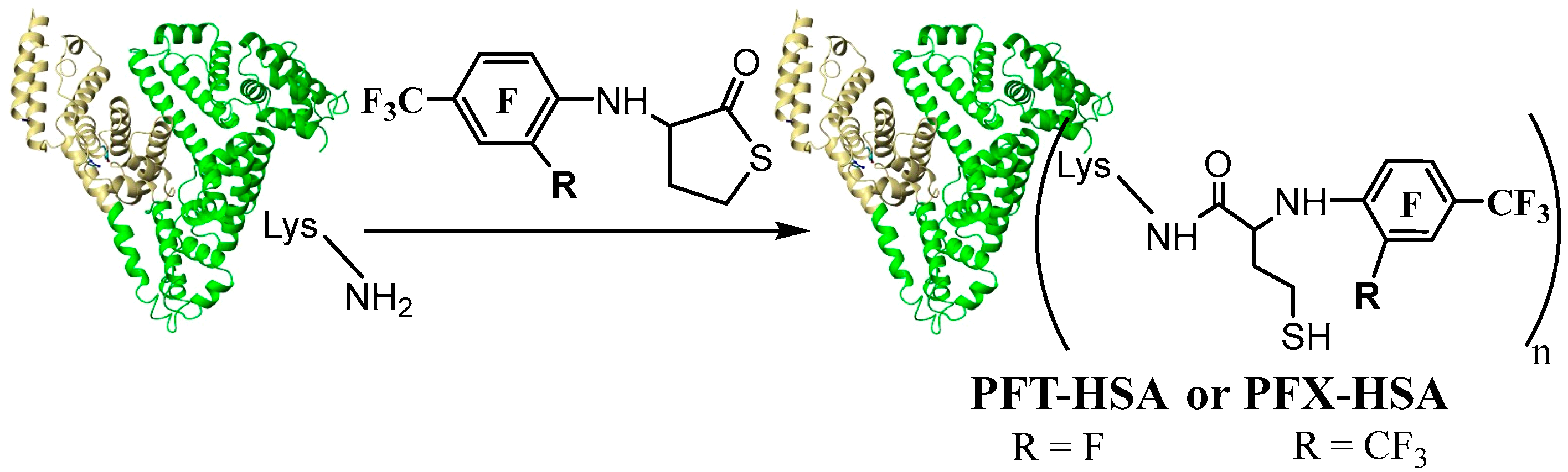 Molecules 28 01695 g007