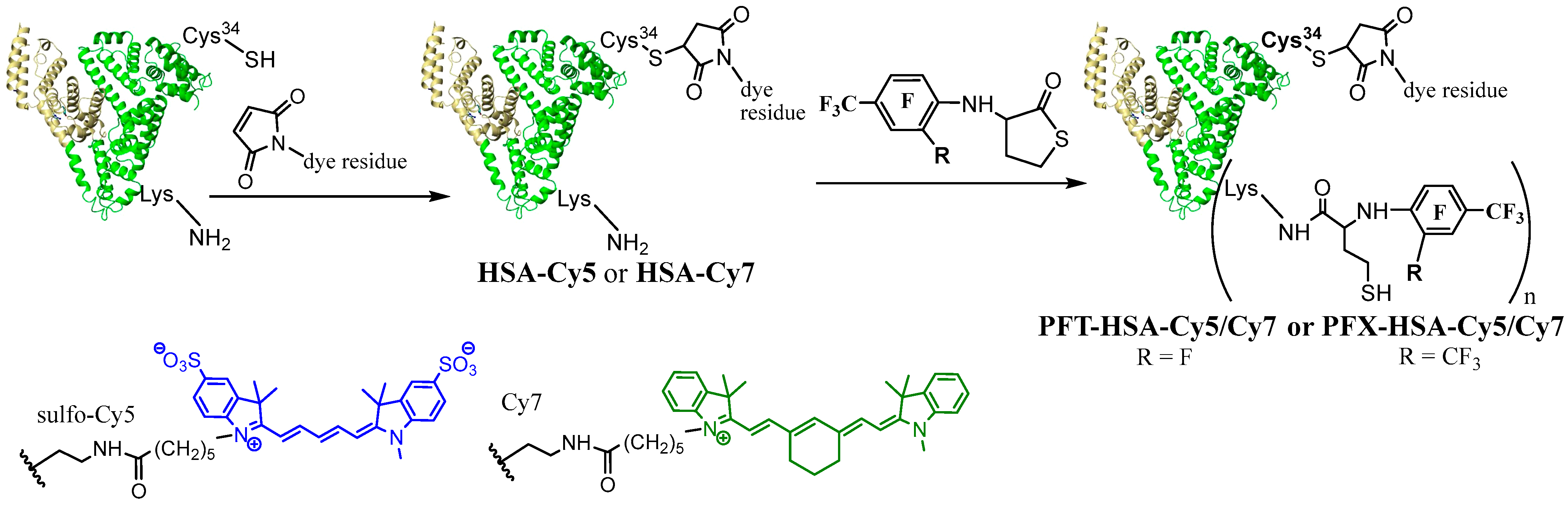 Molecules 28 01695 g010