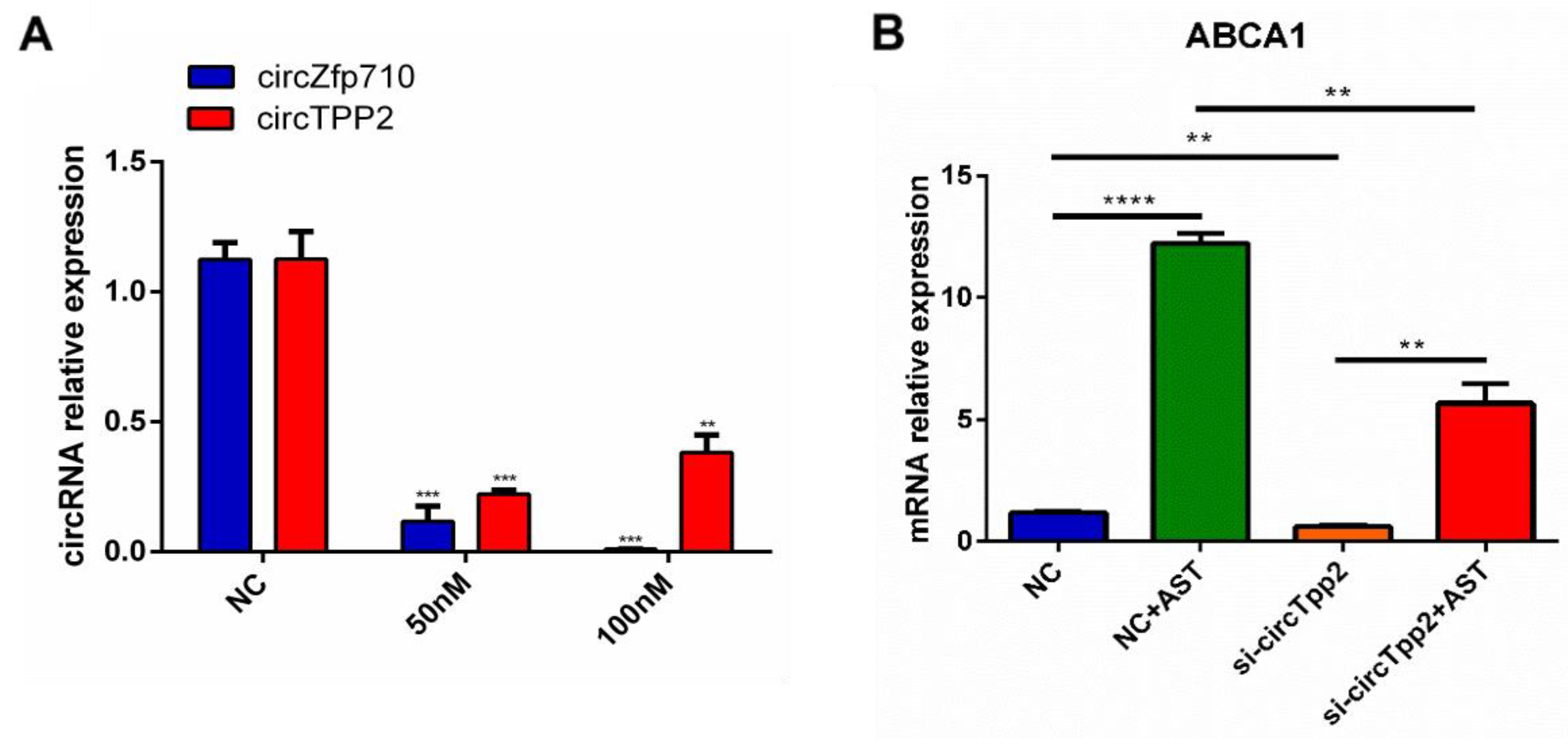 Molecules 28 01701 g004 Molecules 28 01701 g004