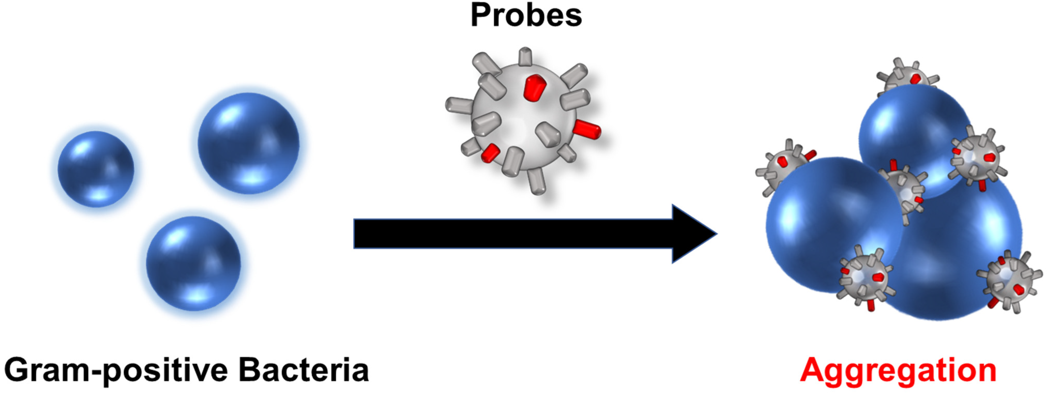 Molecules 28 01704 g001 Molecules 28 01704 g001