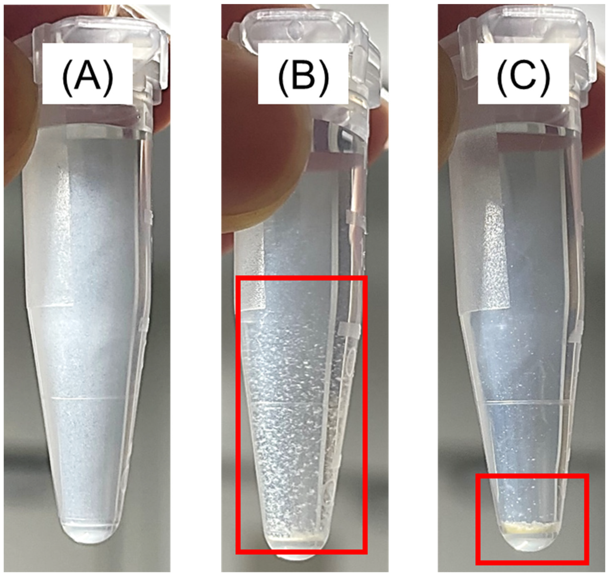 Molecules 28 01704 g005 Molecules 28 01704 g005
